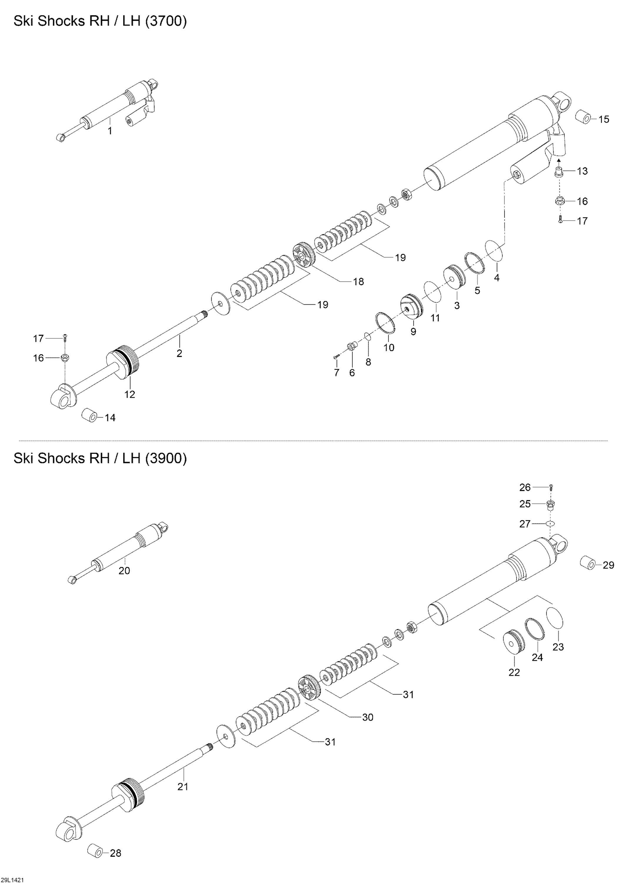 Ski Shocks