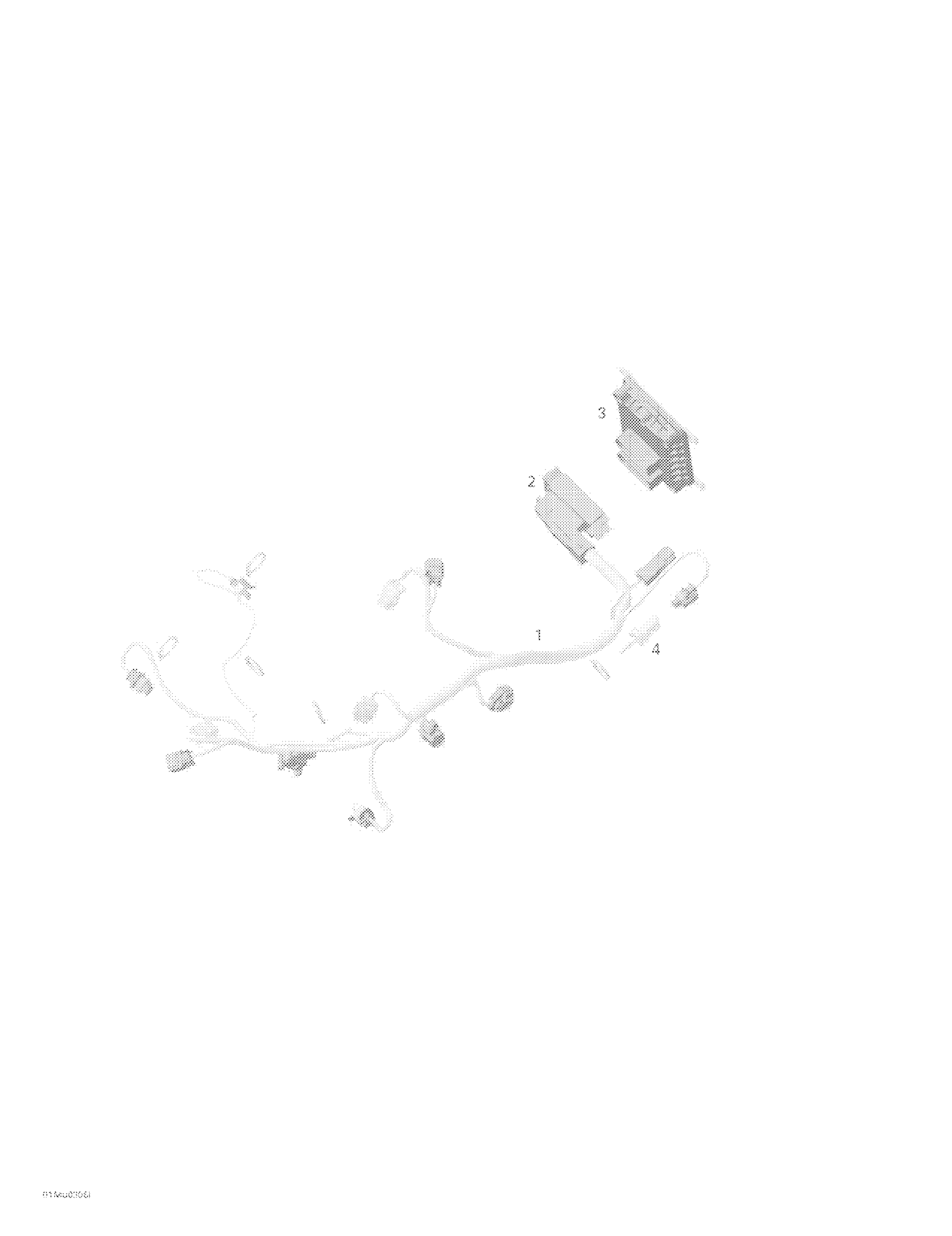 Electronic Module Harness
