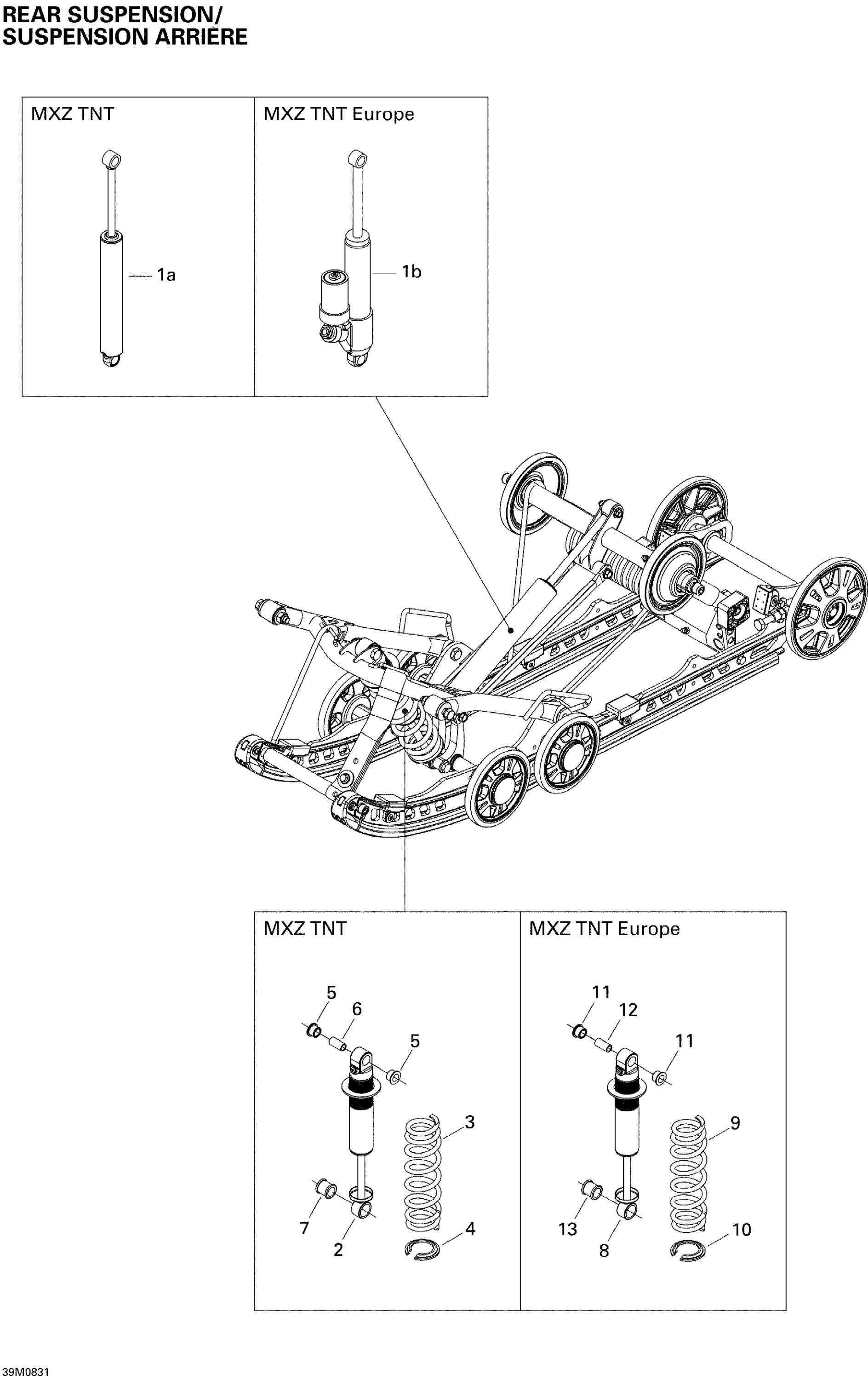 Rear Suspension Shocks