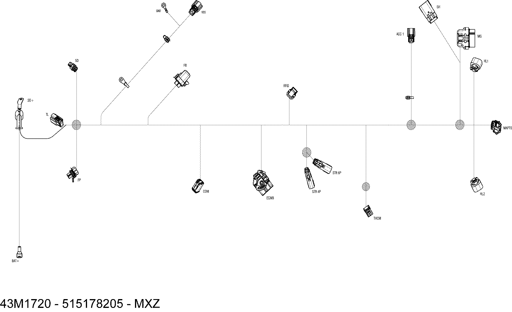 Electrical Harness - All Models
