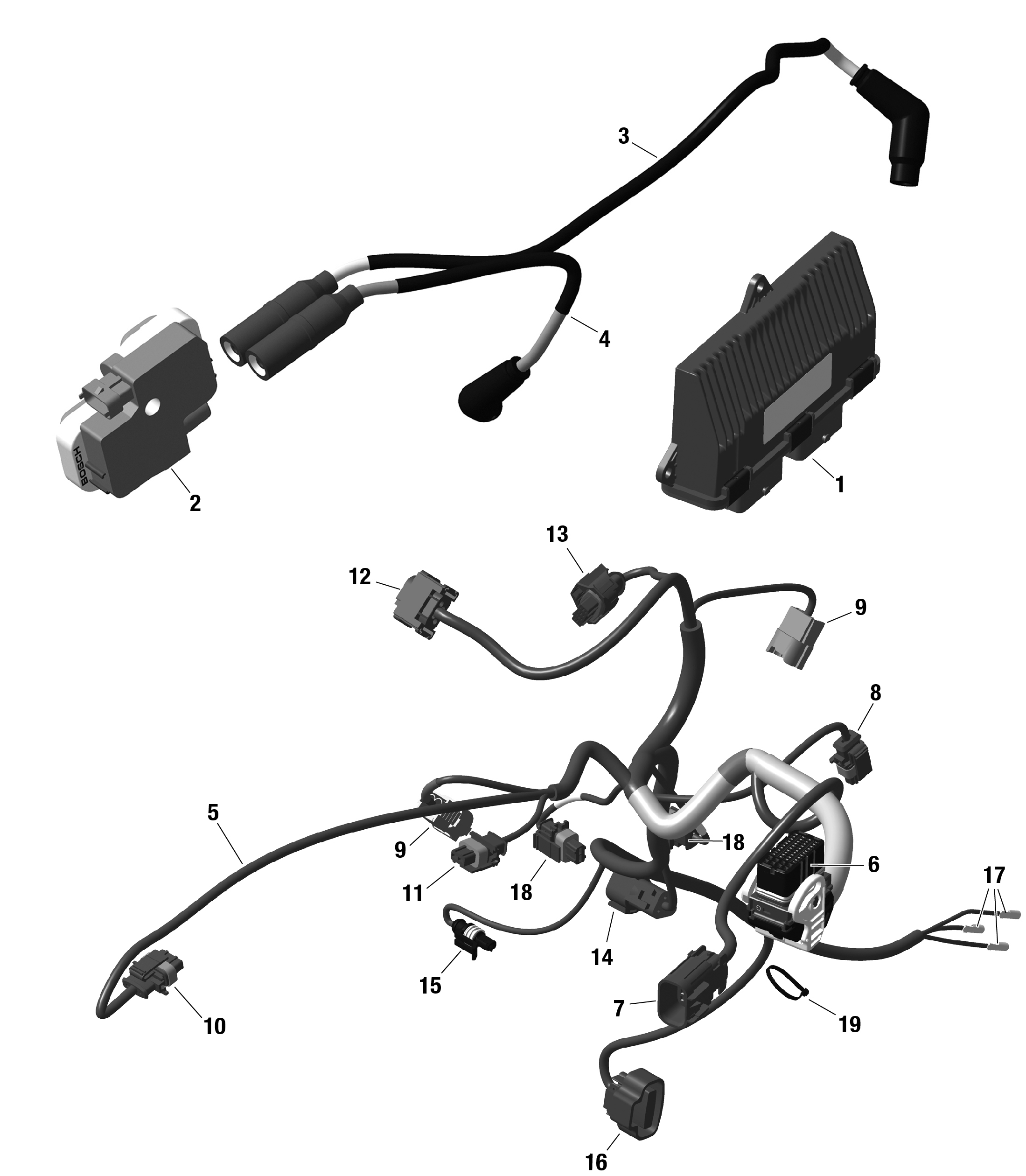 ROTAX - Engine Harness And Electronic Module