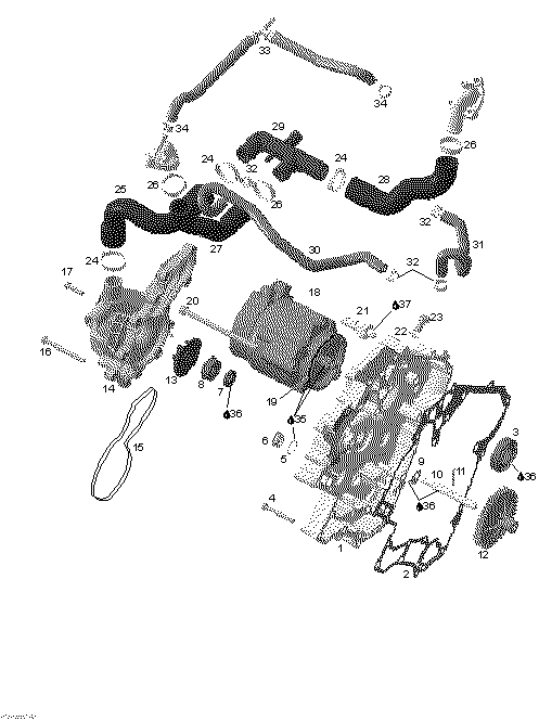 Схема узла: Waterpump And Alternator