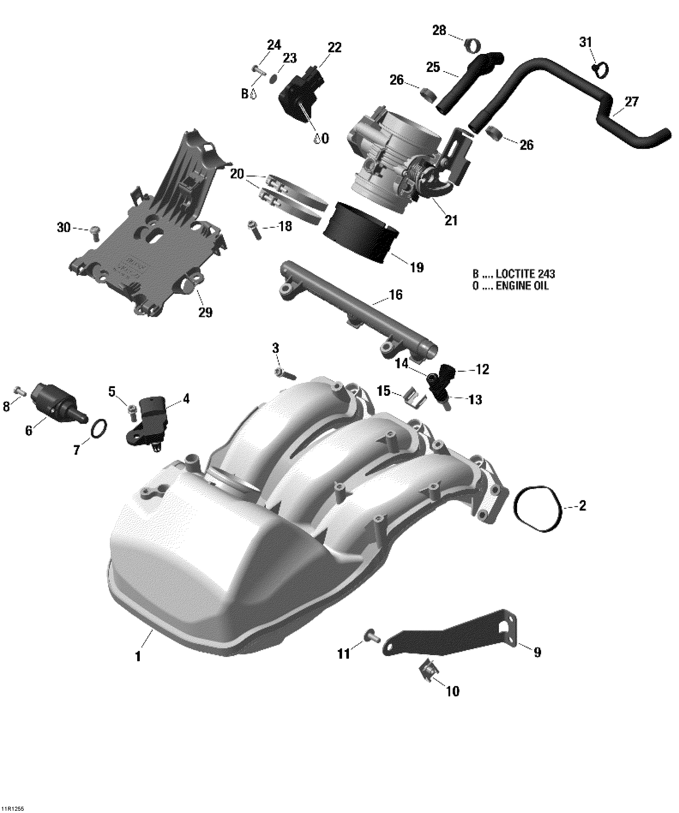 Air Inlet Manifold And Throttle Body