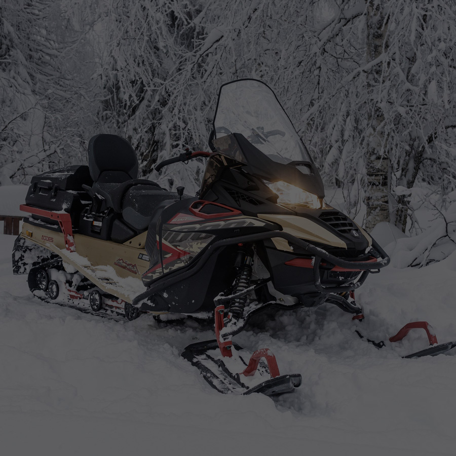 Снегоходы Snowcross