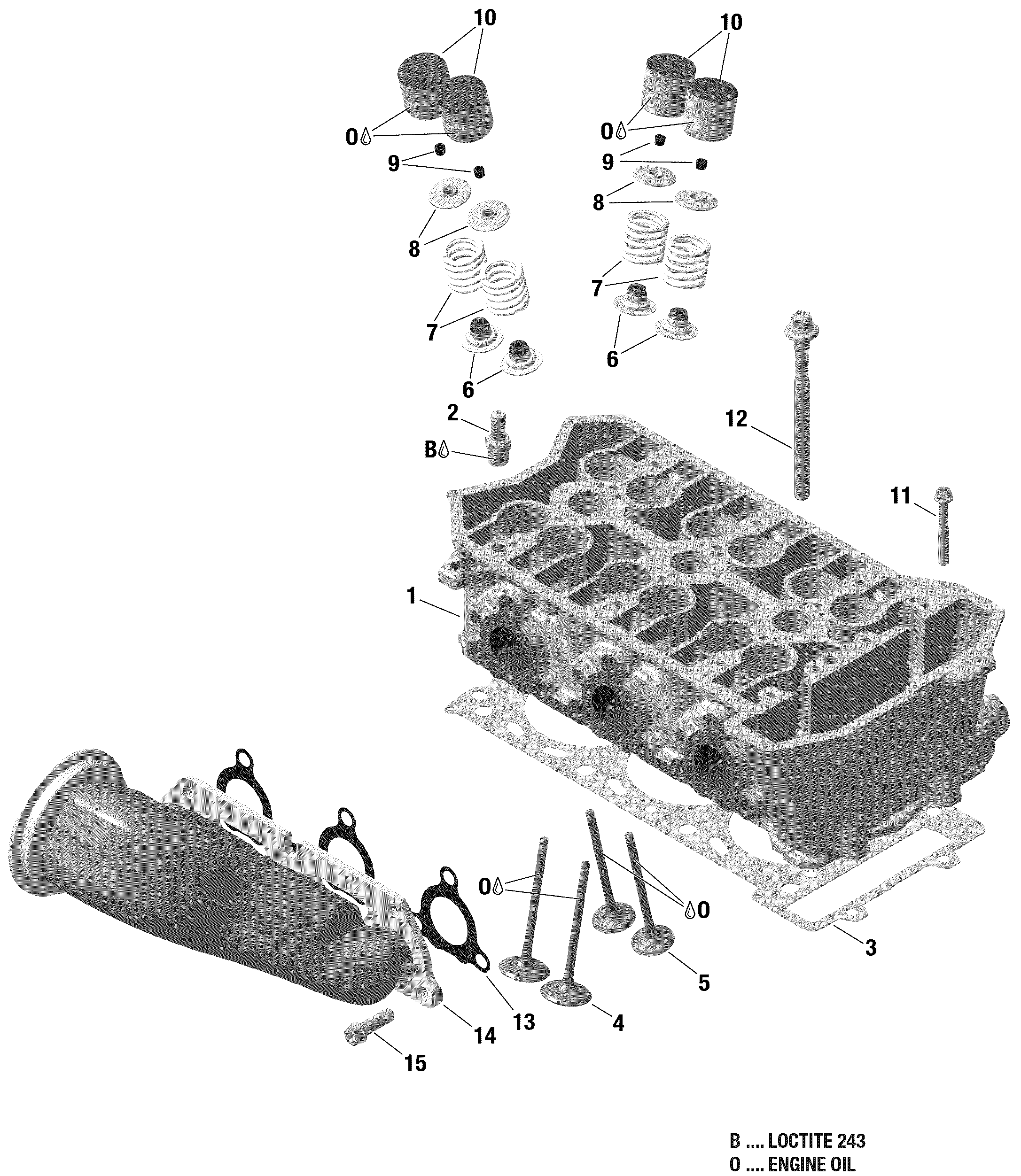 Cylinder Head And Exhaust Manifold 900 HO