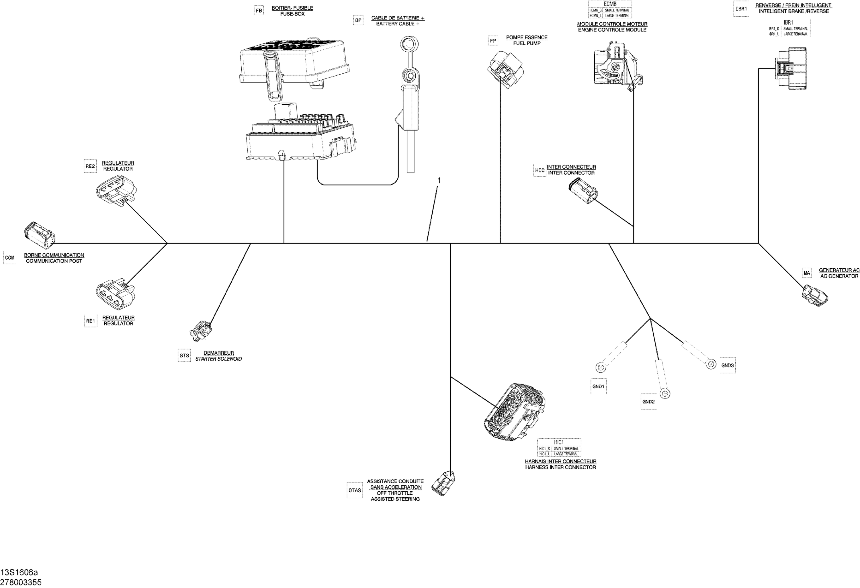Electrical Harness - Main Harness - GTS