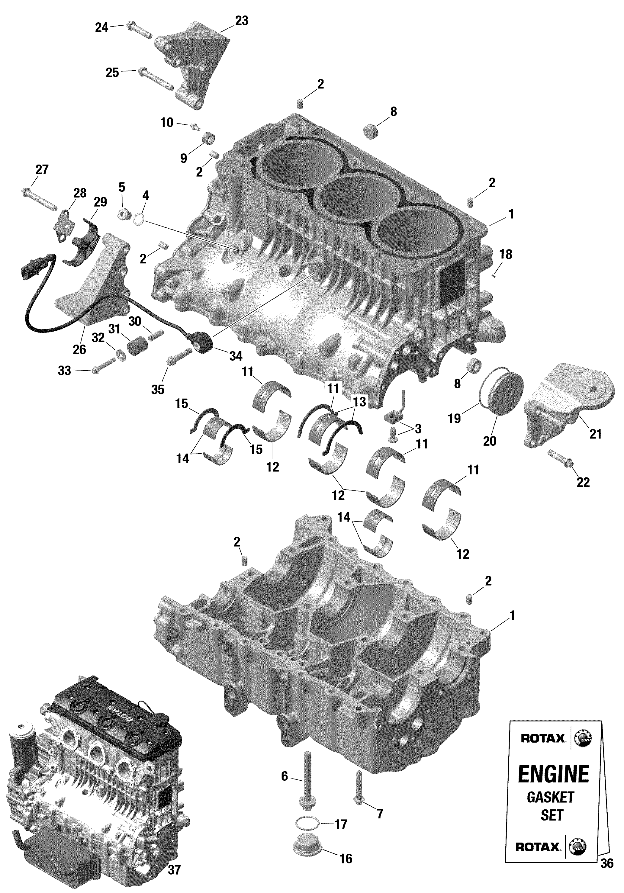 Rotax - Crankcase