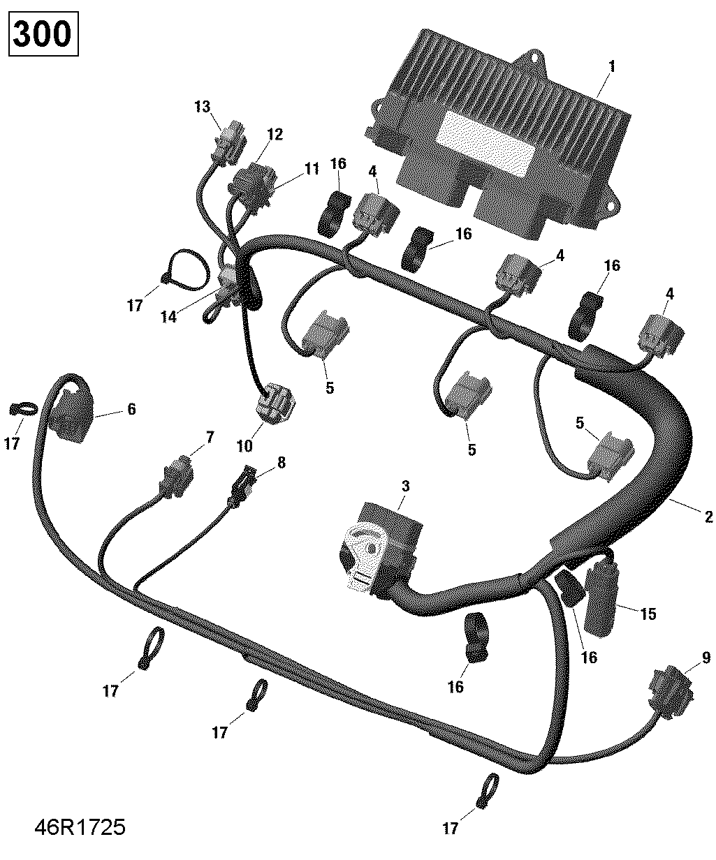 Схема узла: Engine Harness - 300