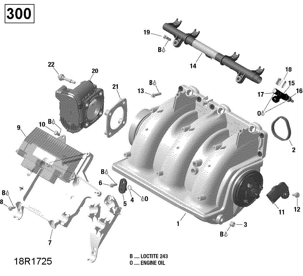Air Intake Manifold And Throttle Body - 300