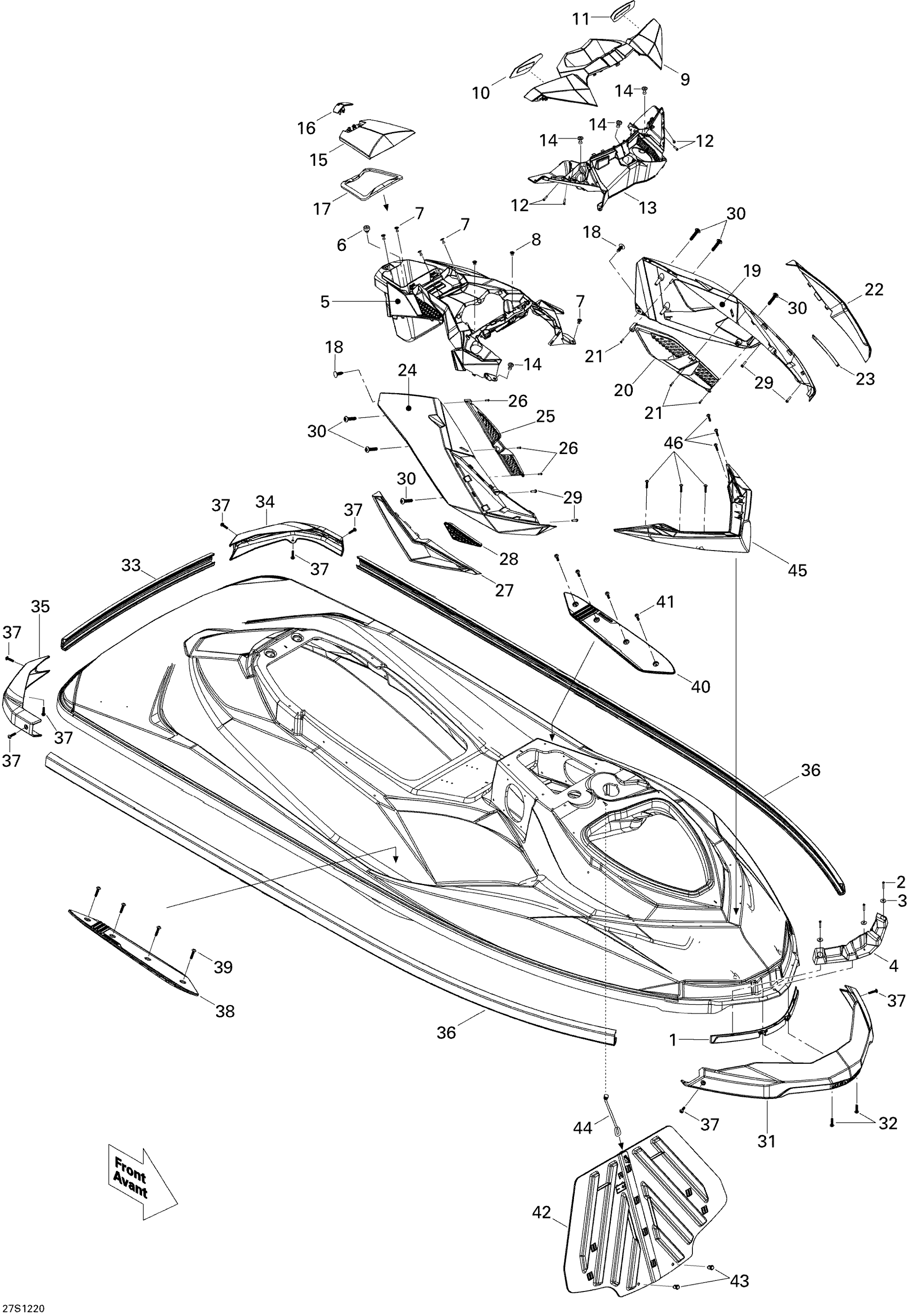 Body, Front View