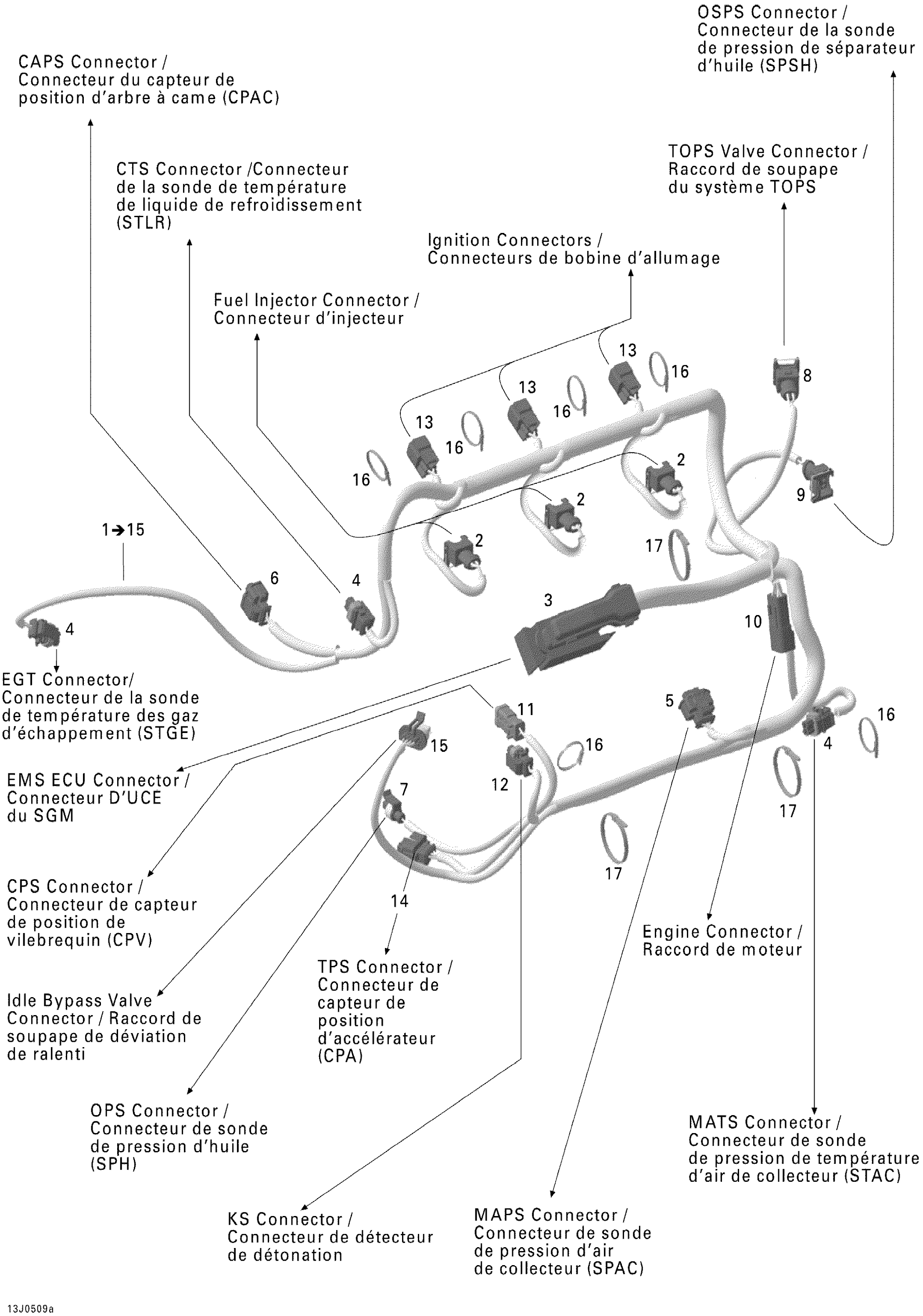 Engine Harness Rotax