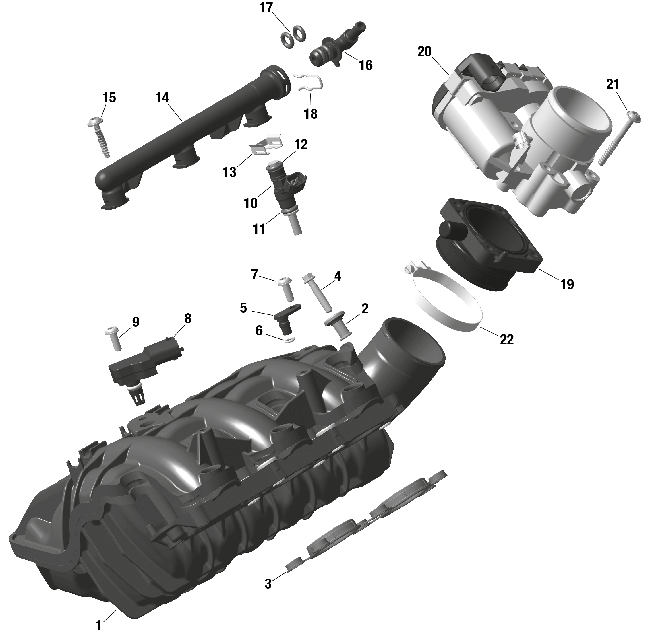 Схема узла: ROTAX - Air Intake Manifold And Throttle Body