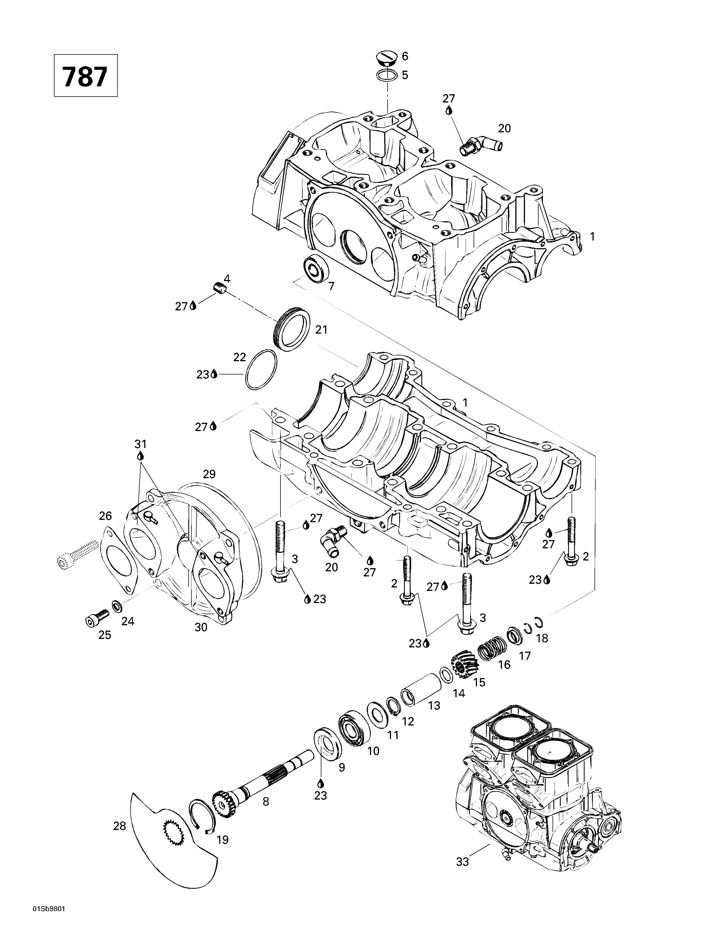 Crankcase, Rotary Valve (787)