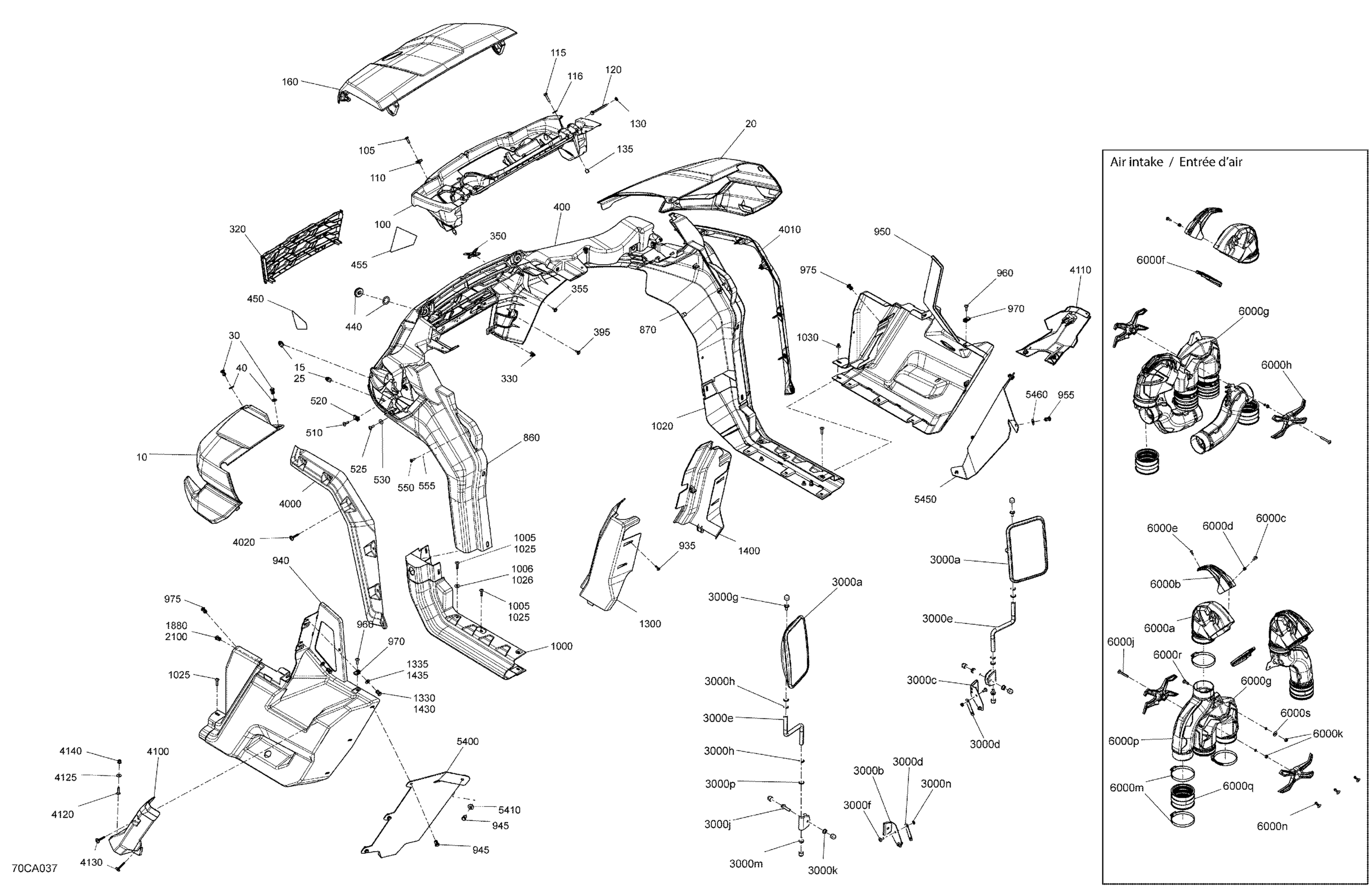 Body - System