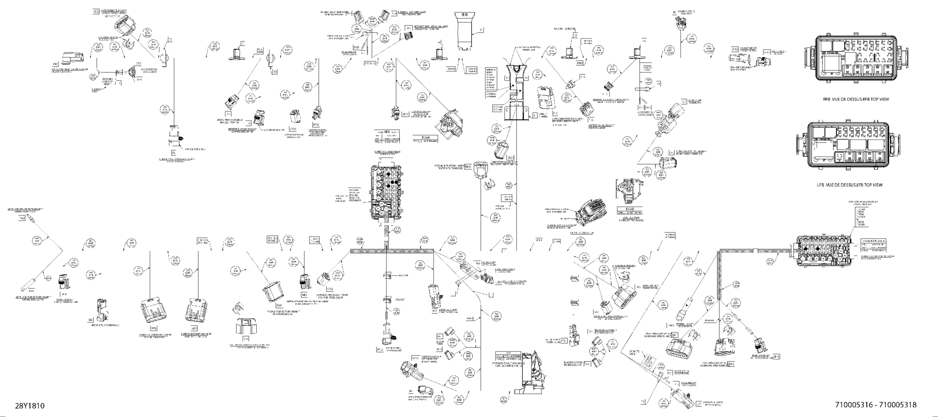 Main Harness - S & STD, Automatic