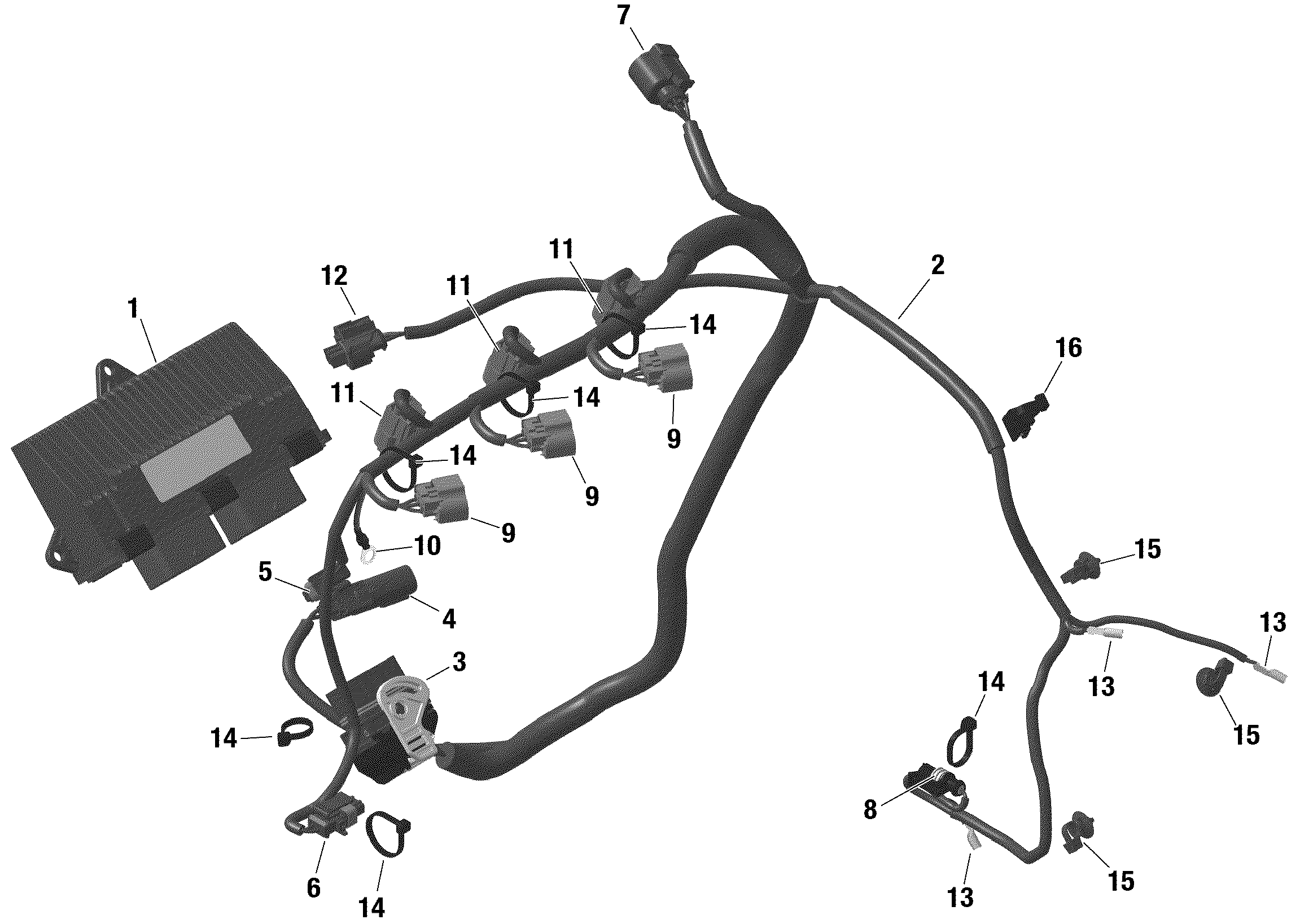 ROTAX - Engine Harness And Electronic Module