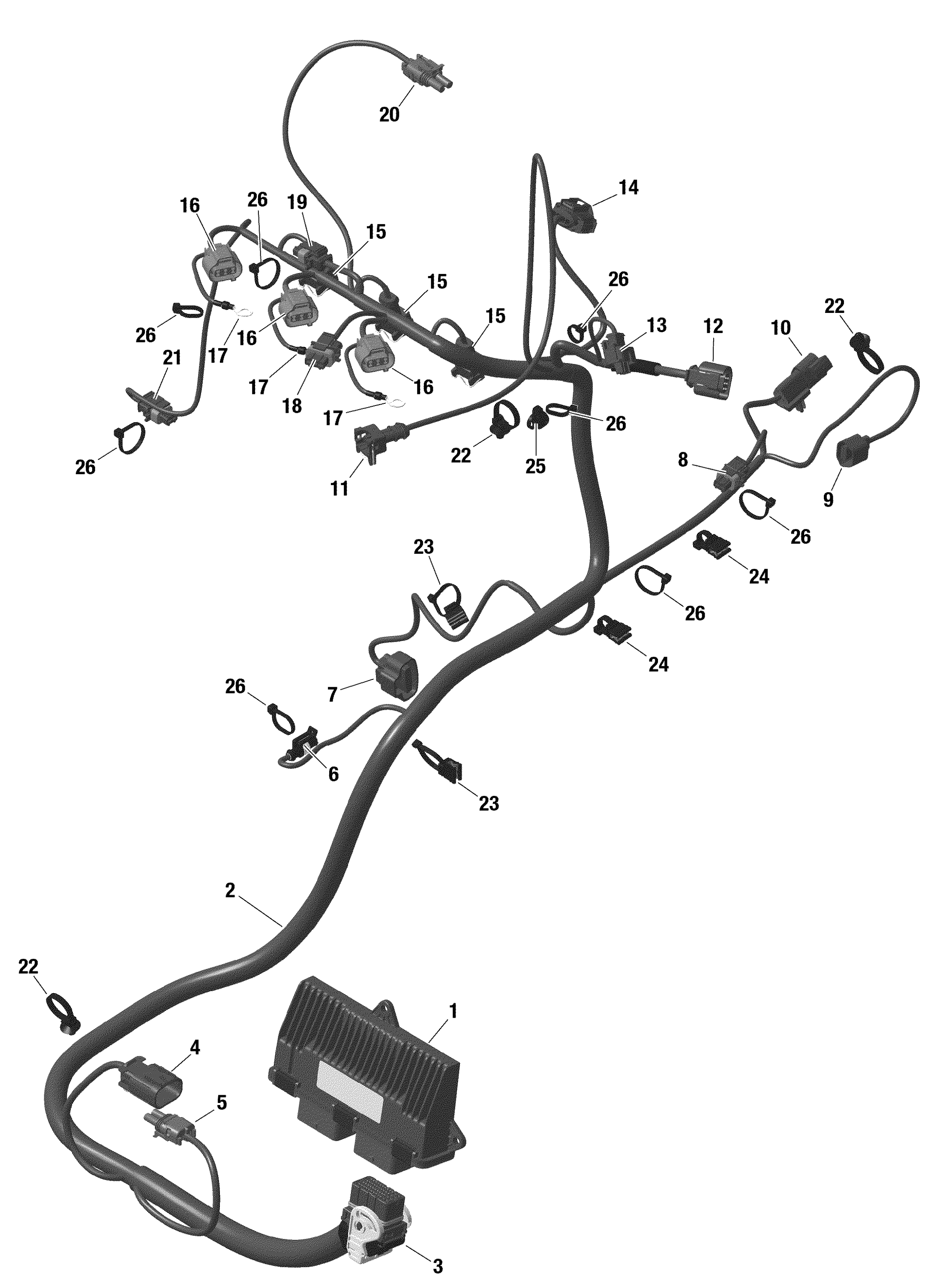 Схема узла: Rotax - Engine Harness And Electronic Module - Turbo - Turbo R