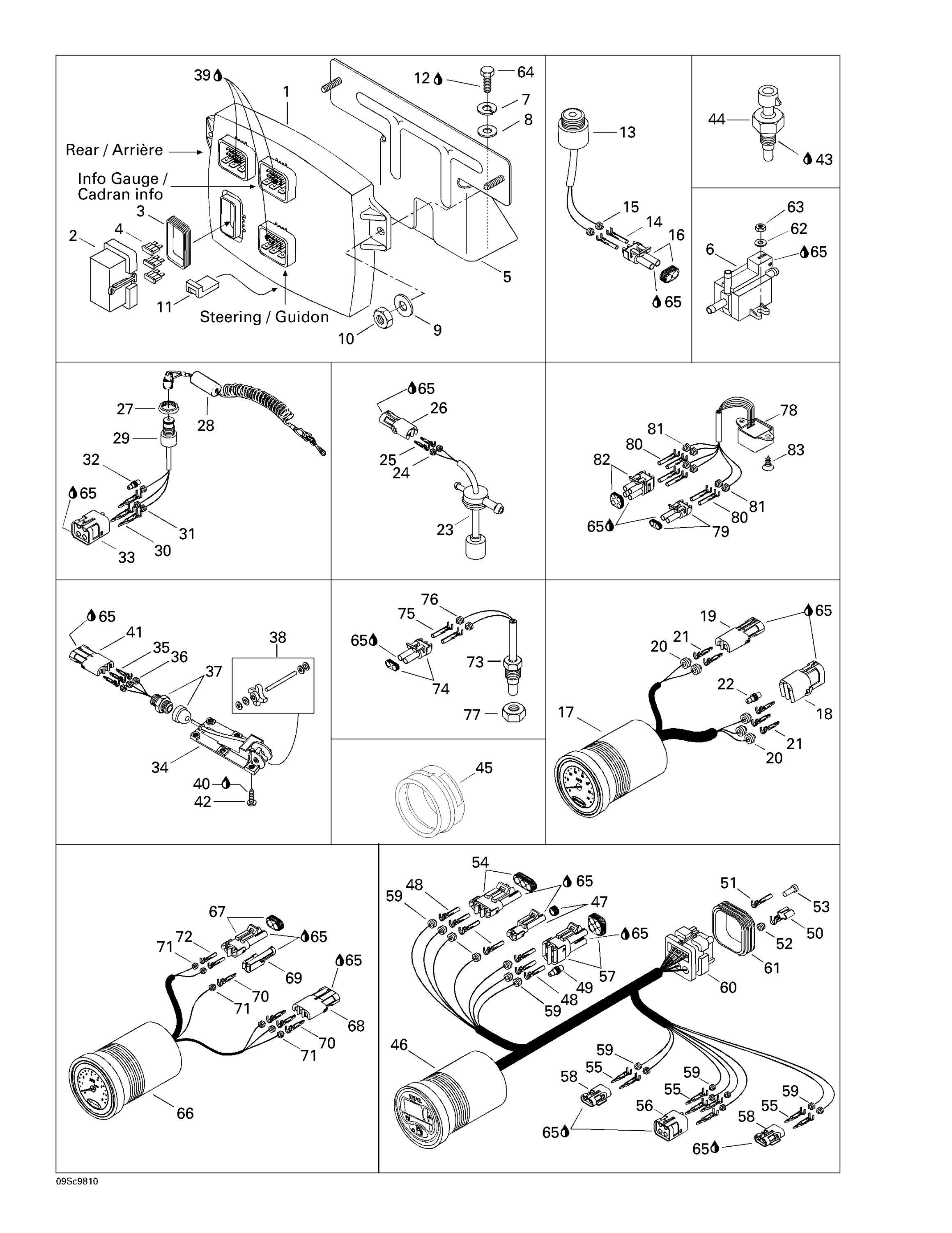 Схема узла: Electronic Module And Electrical Accessories