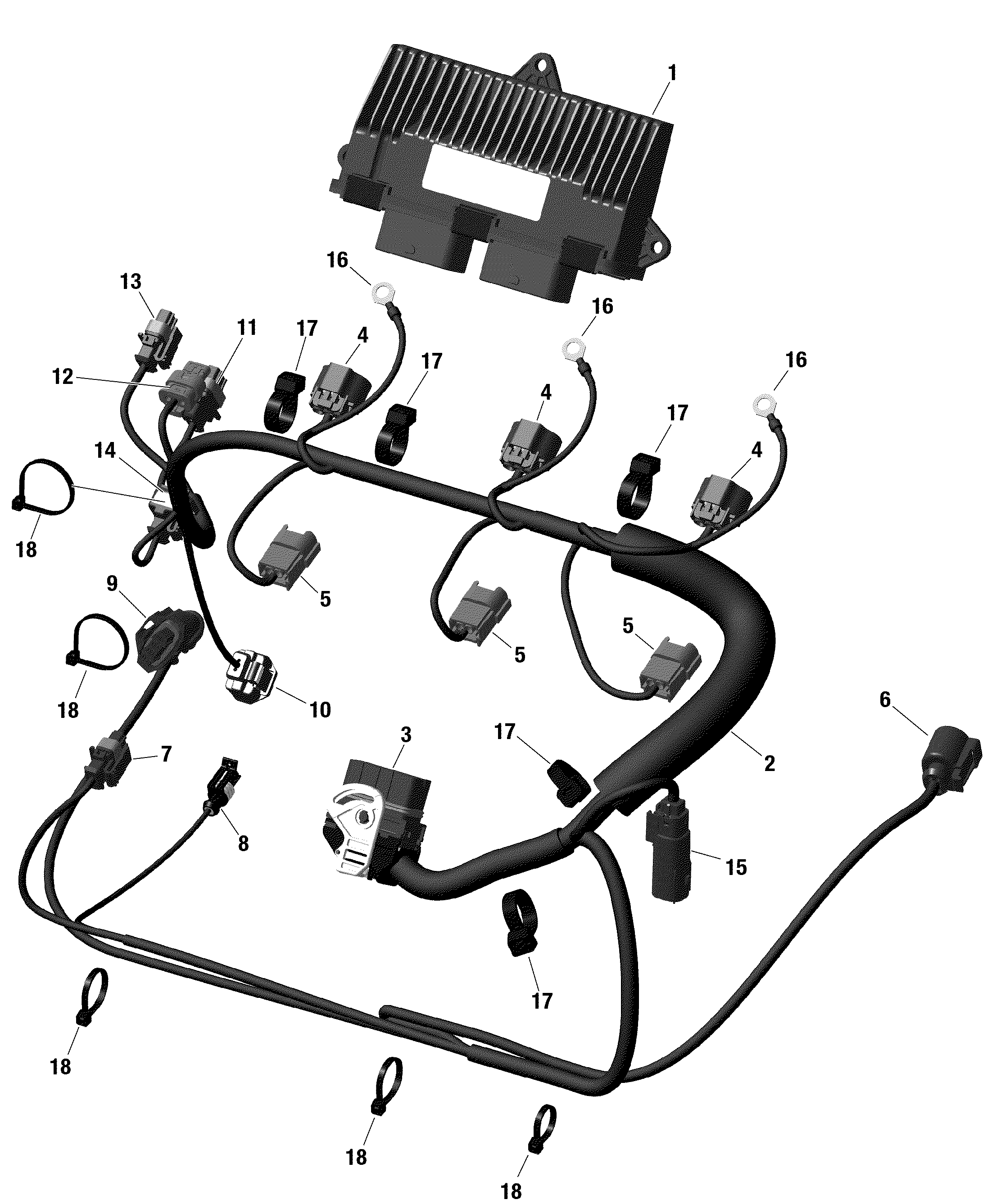 Engine Harness And Electronic Module 155HP