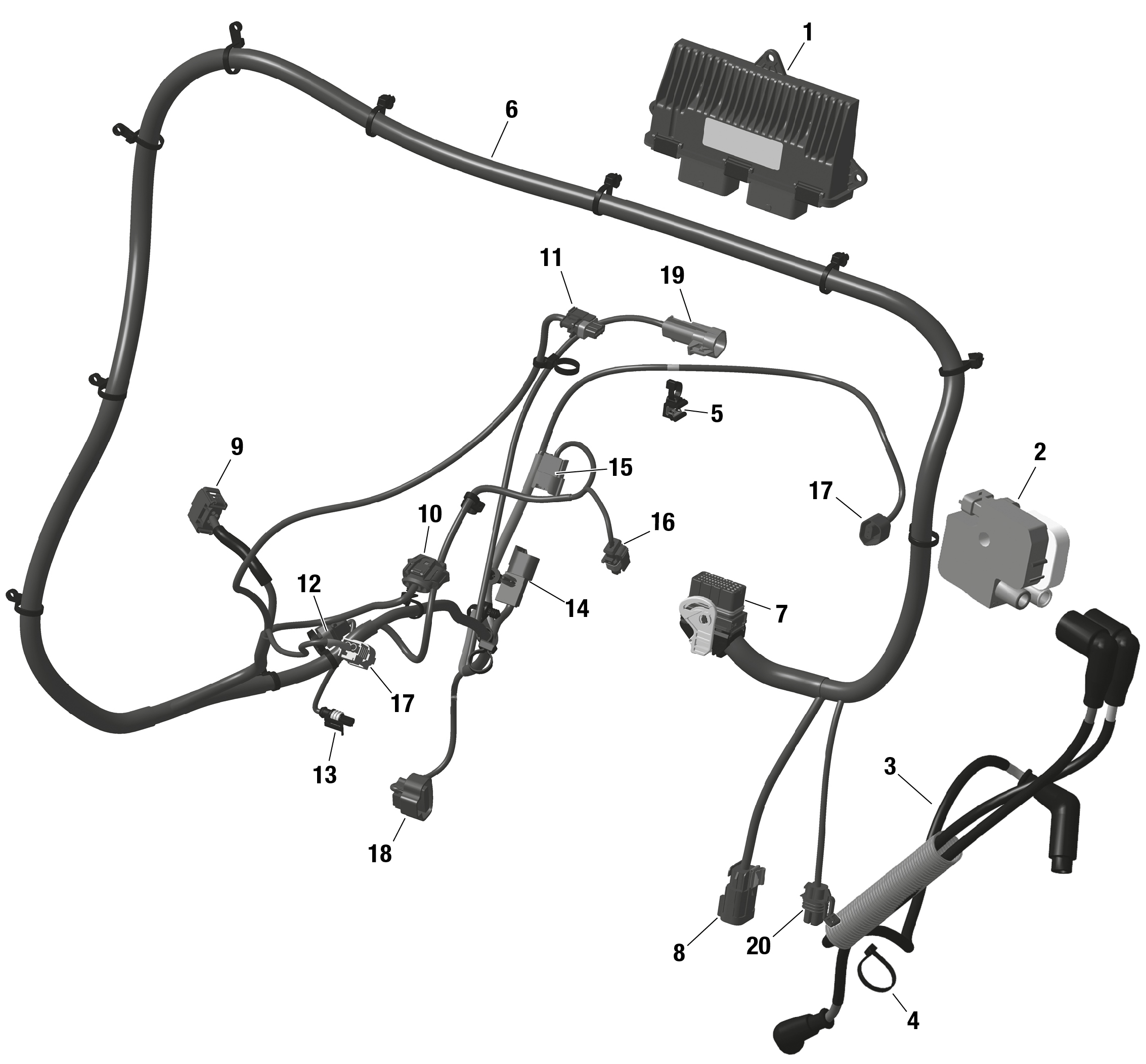 ROTAX - Engine Harness And Electronic Module