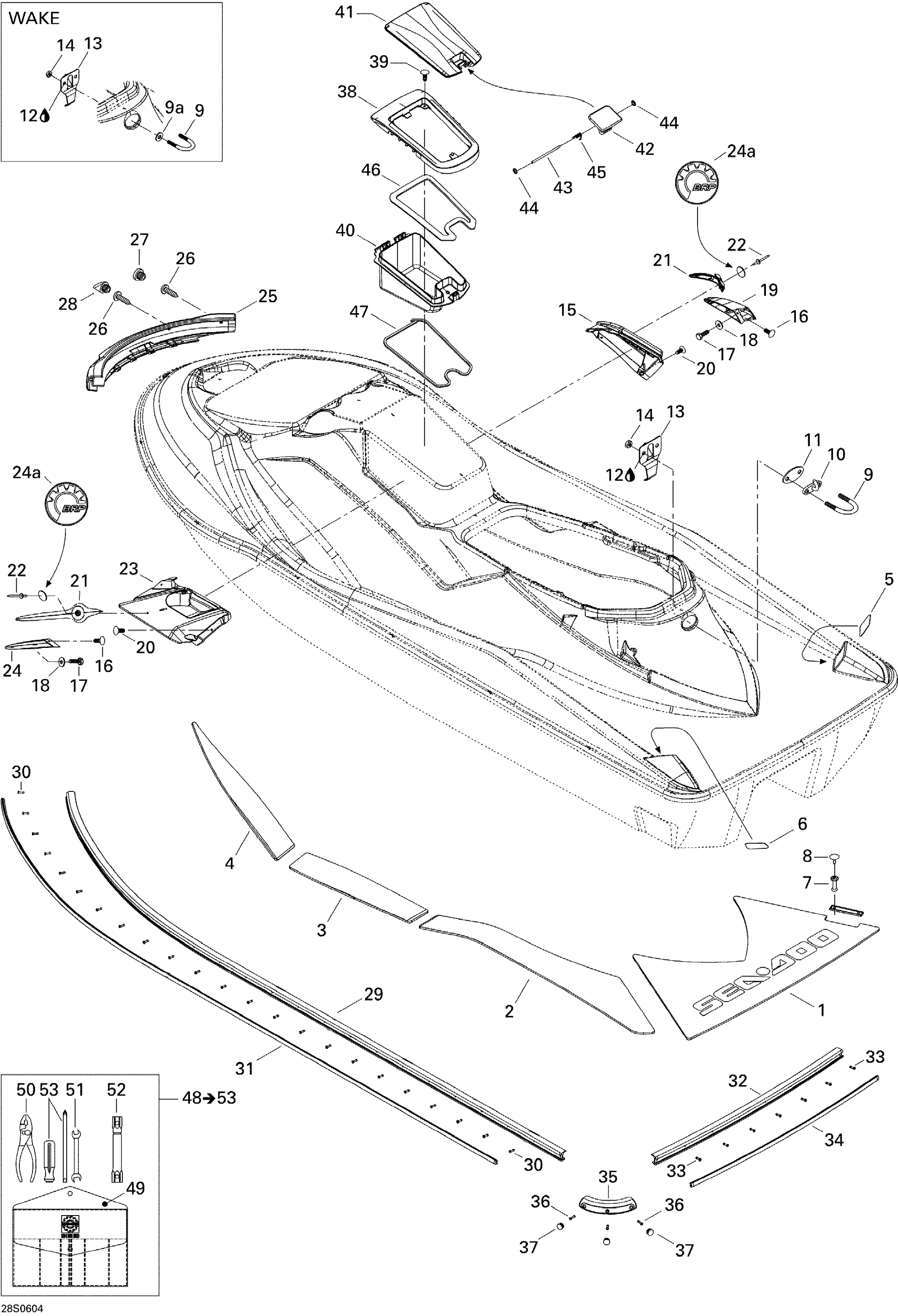 Body, Rear View STD