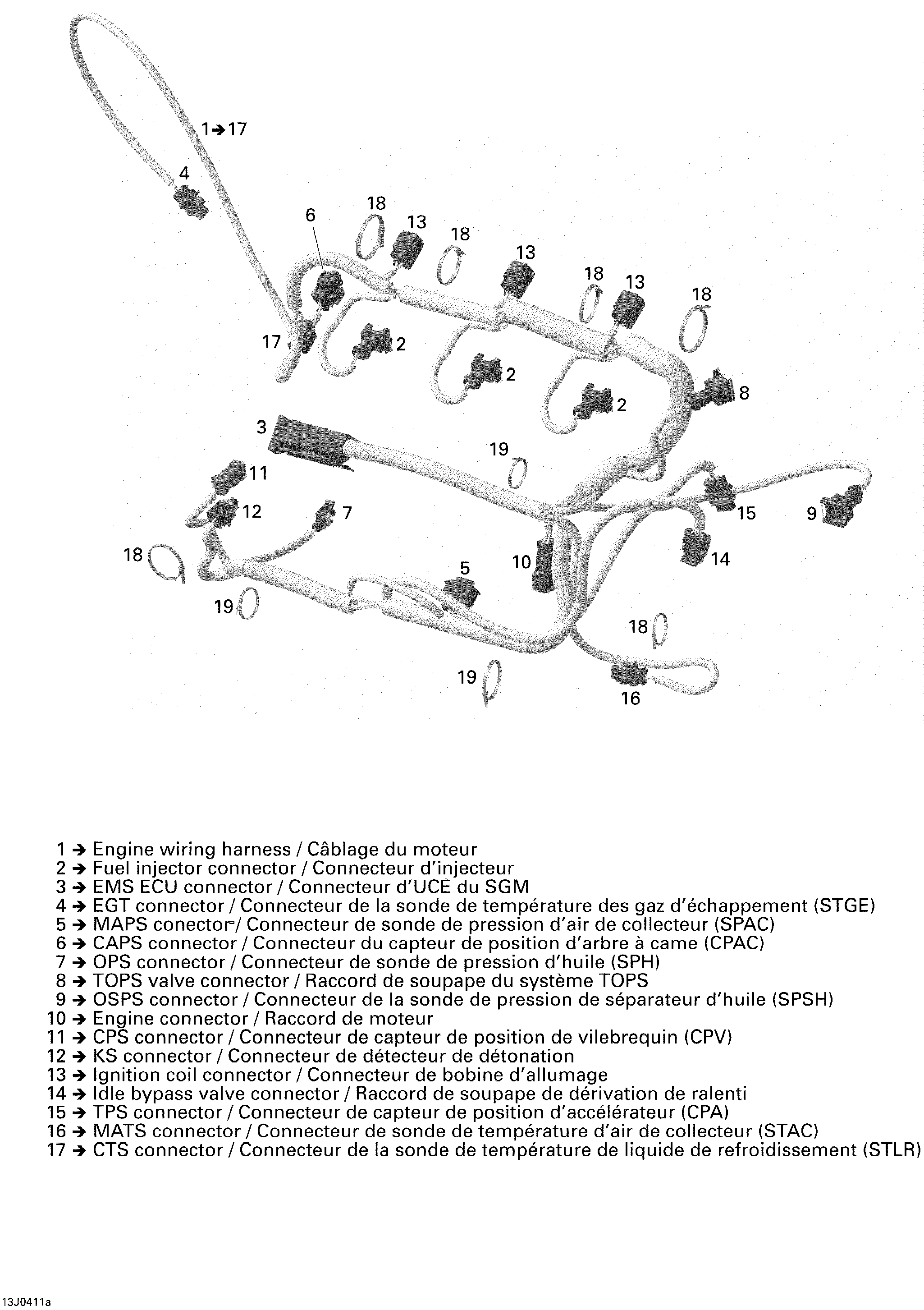 Engine Wiring Harness