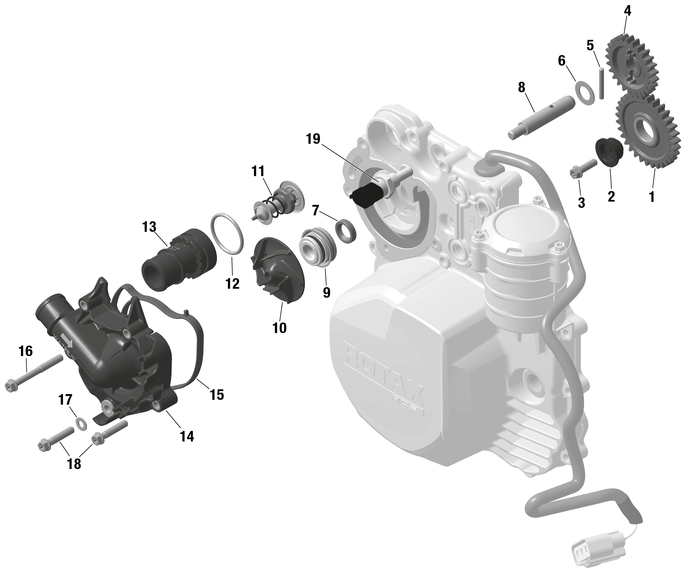 Схема узла: ROTAX - Engine Cooling
