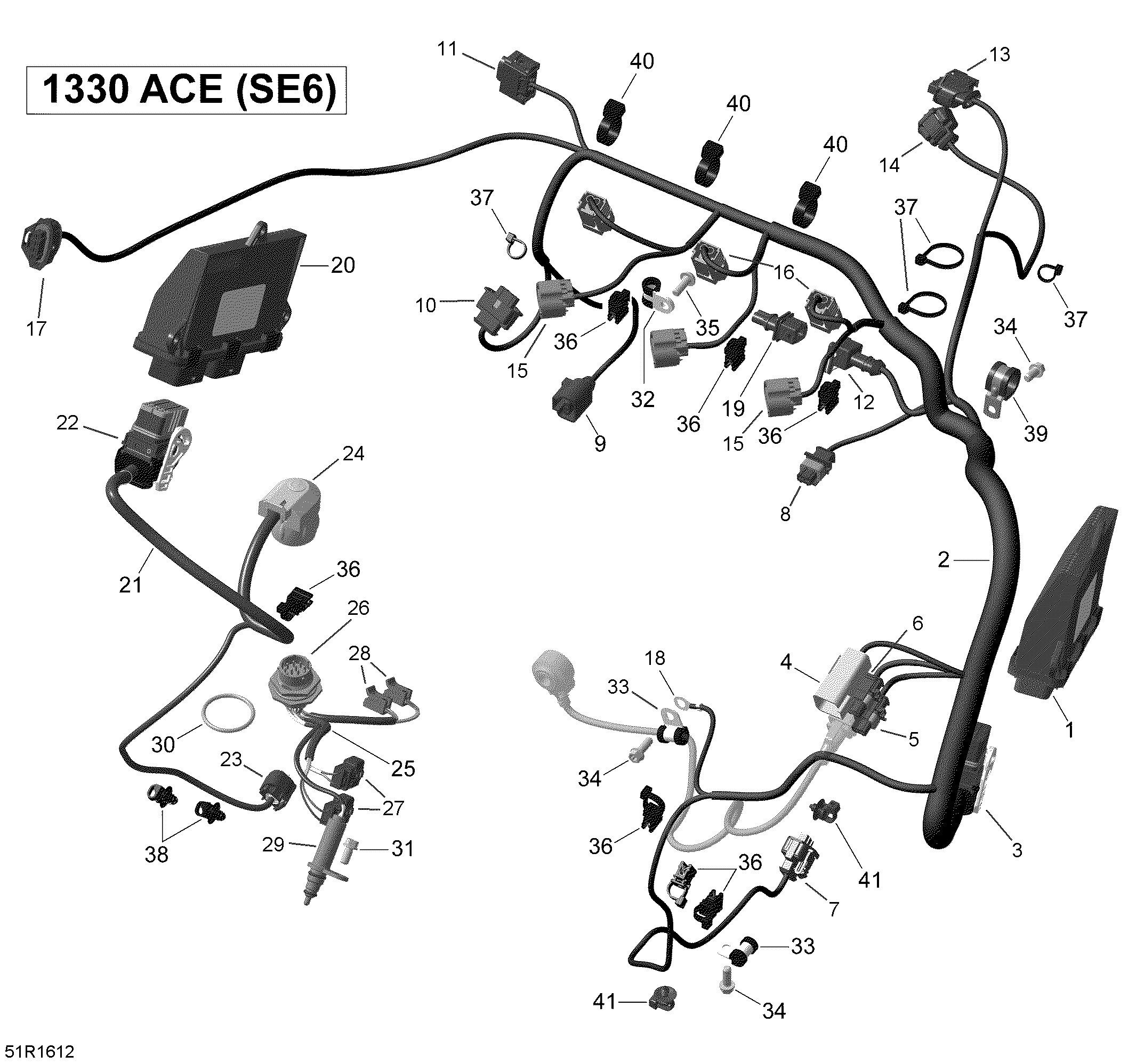 Engine Harness and Electronic Module - SE6