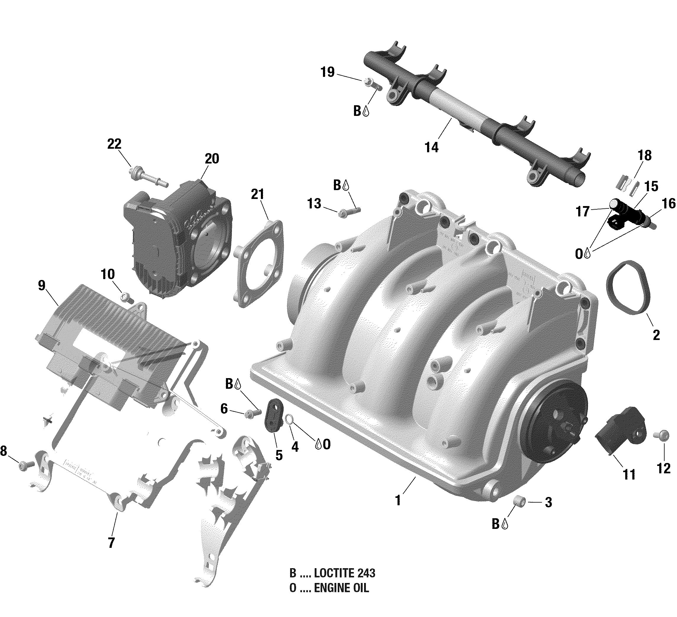 Air Intake Manifold And Throttle Body