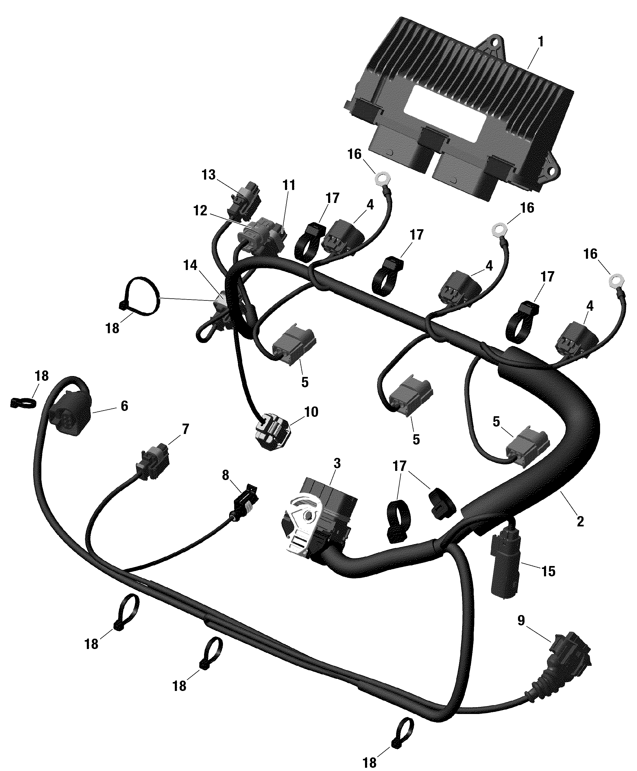 Схема узла: Engine Harness And Electronic Module