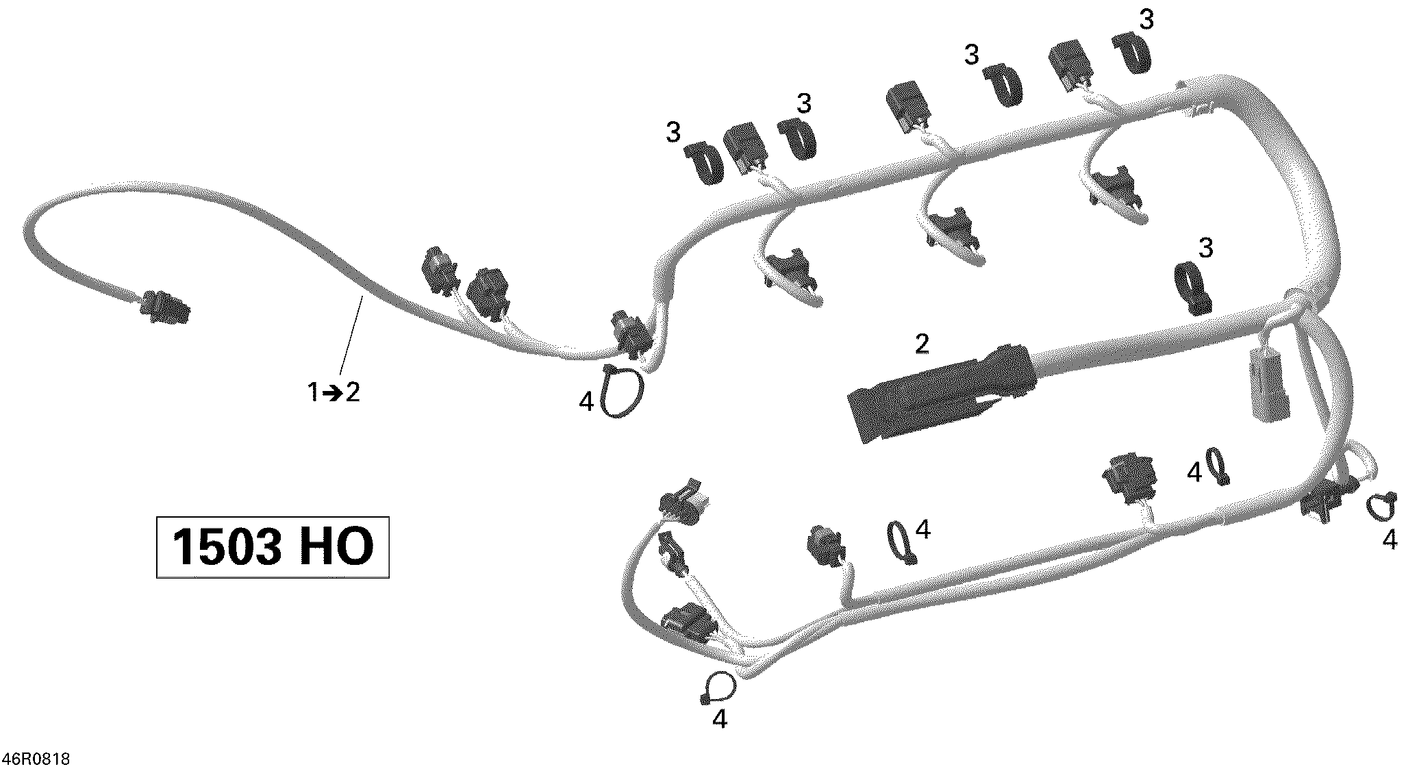 Engine Harness