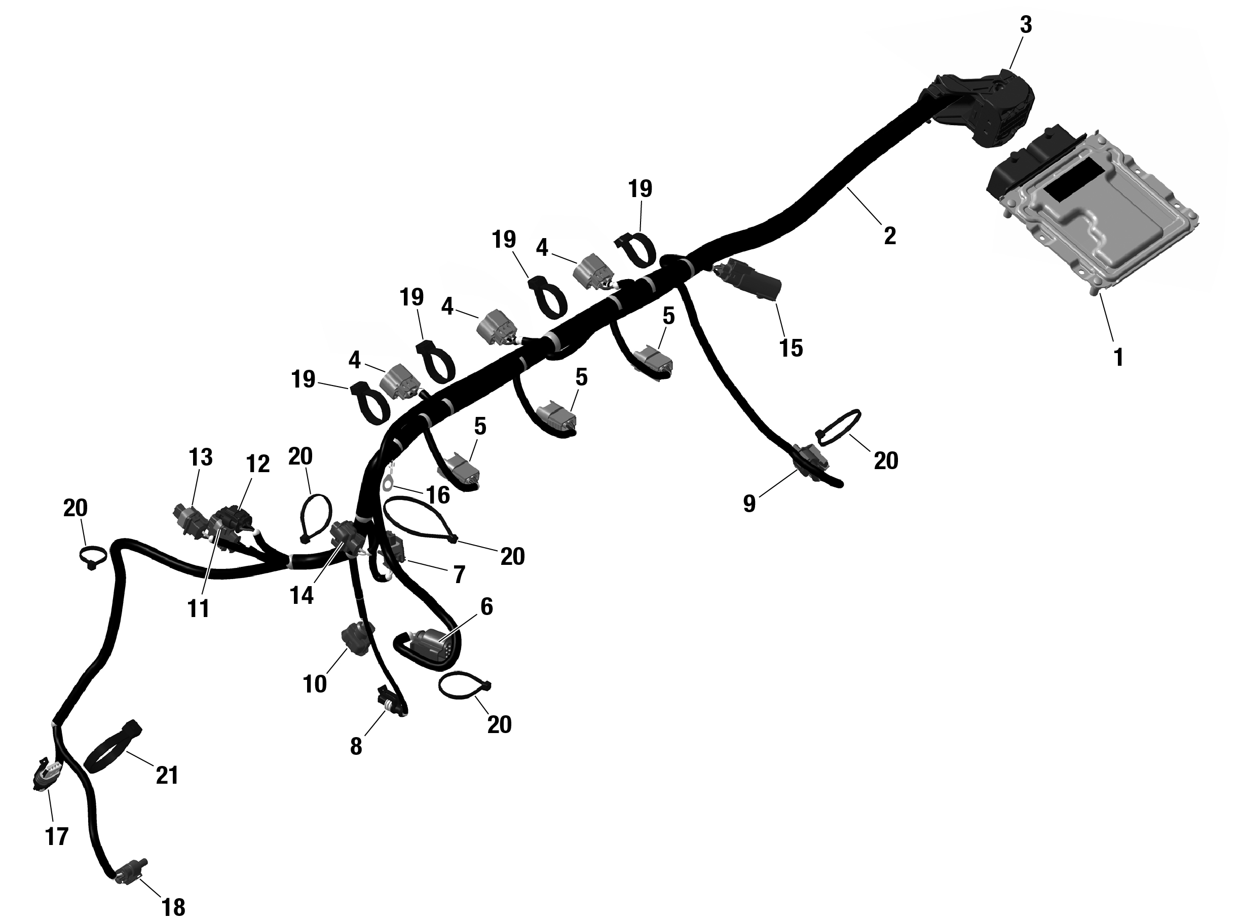 ROTAX - Engine Harness And Electronic Module