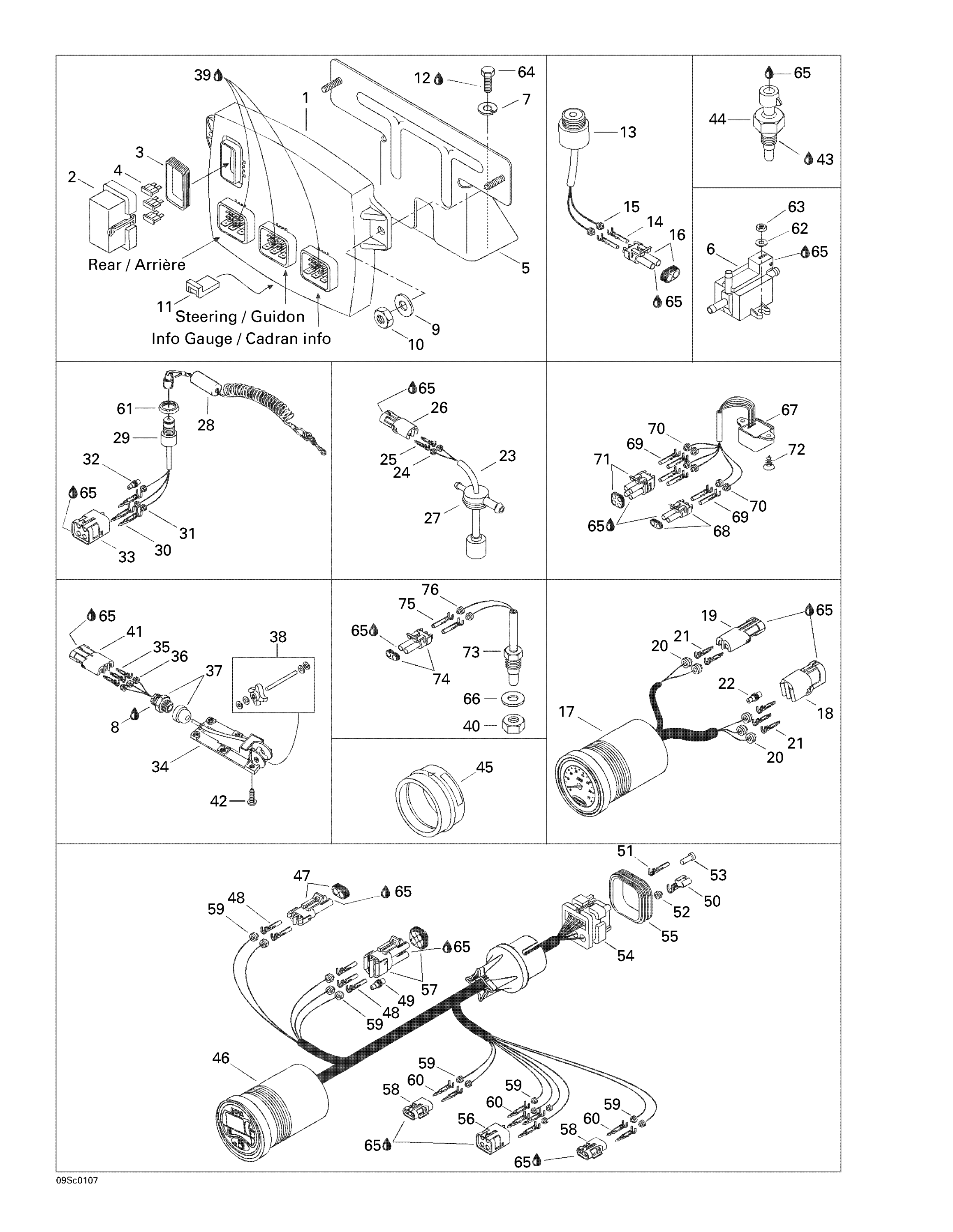 Схема узла: Electronic Module And Electrical Accessories