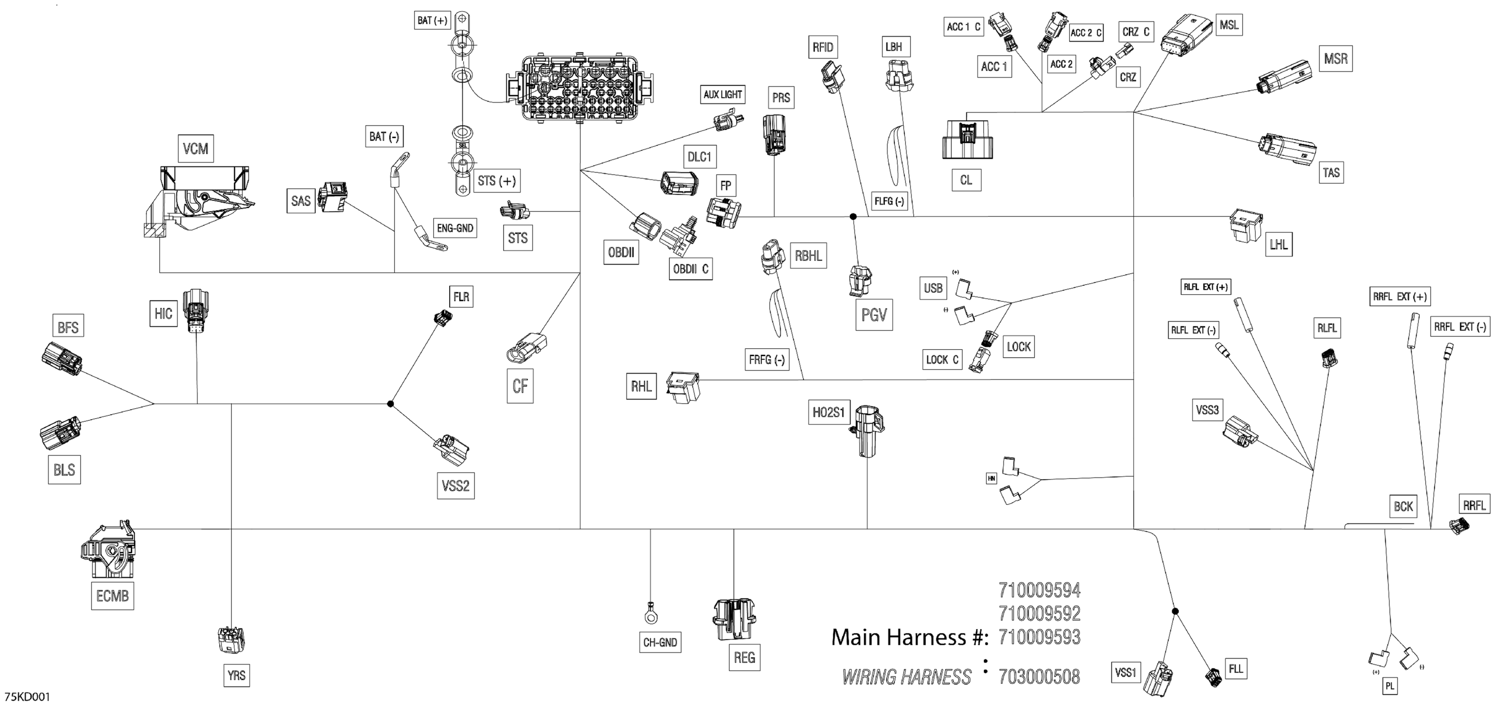 Схема узла: Electric - Main Harness