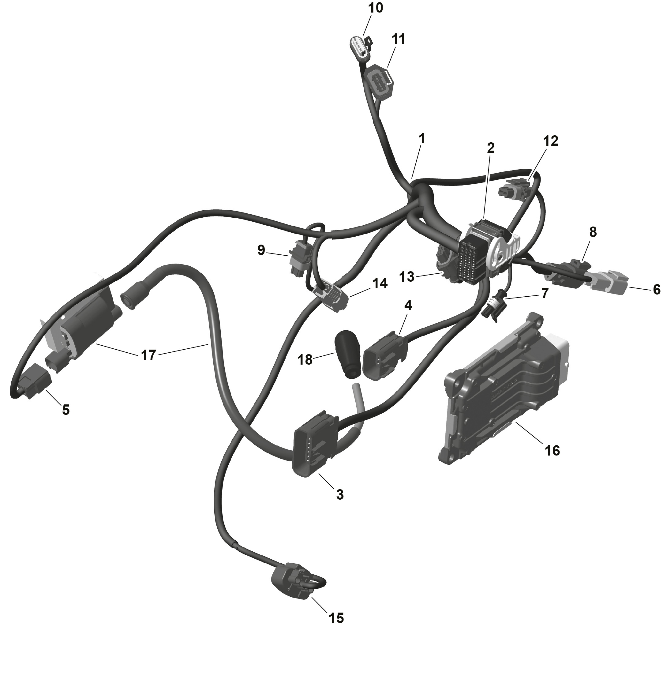 ROTAX - Engine Harness And Electronic Module