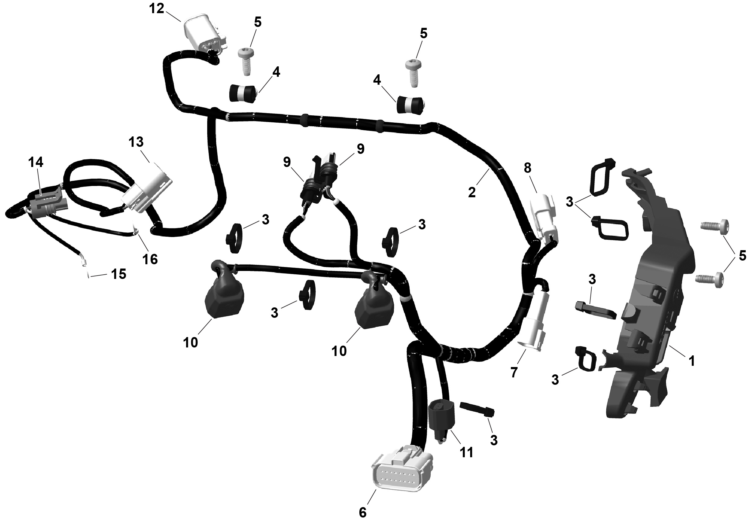 Схема узла: ROTAX - Engine Harness And Electronic Module