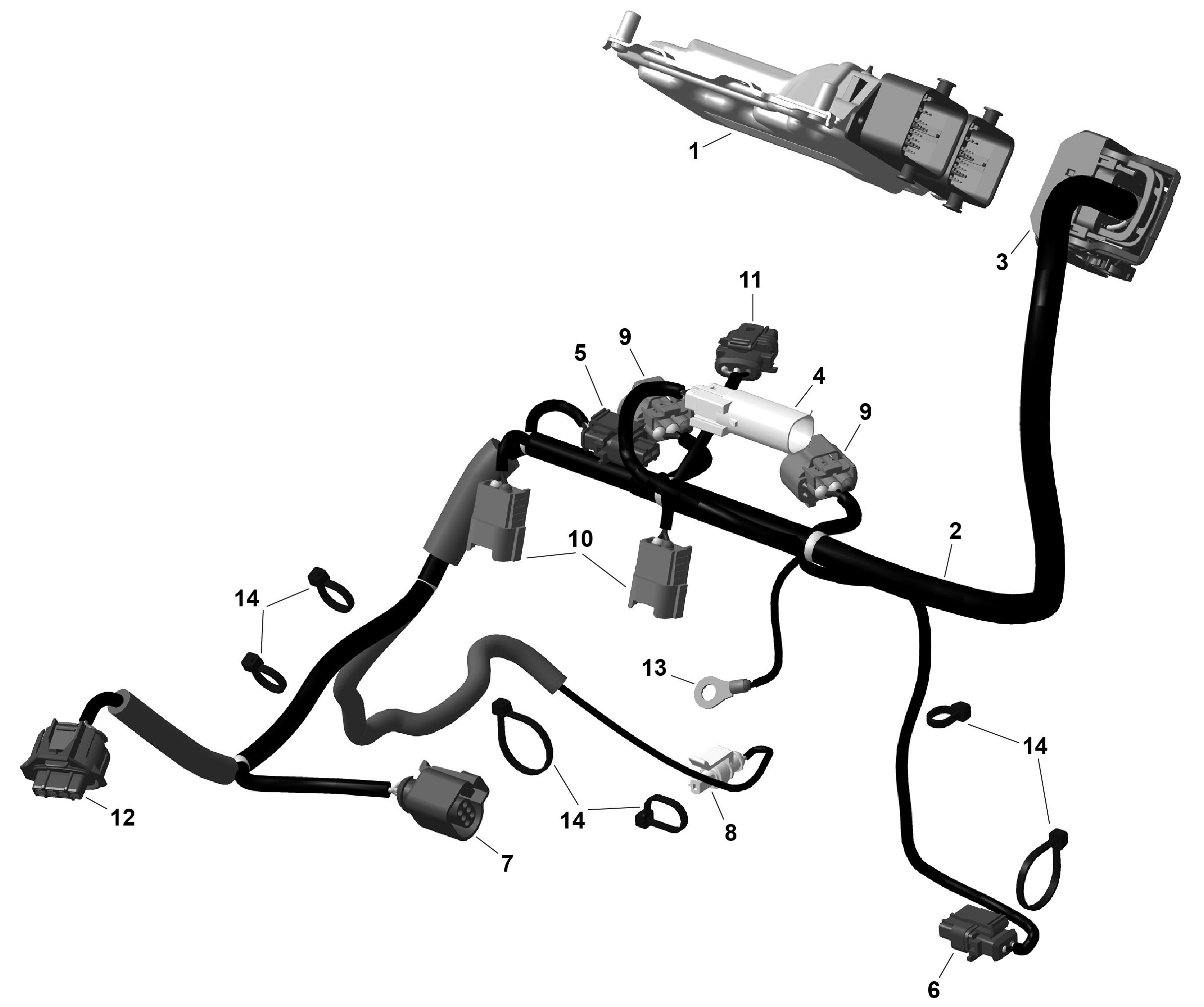 ROTAX - Engine Harness And Electronic Module