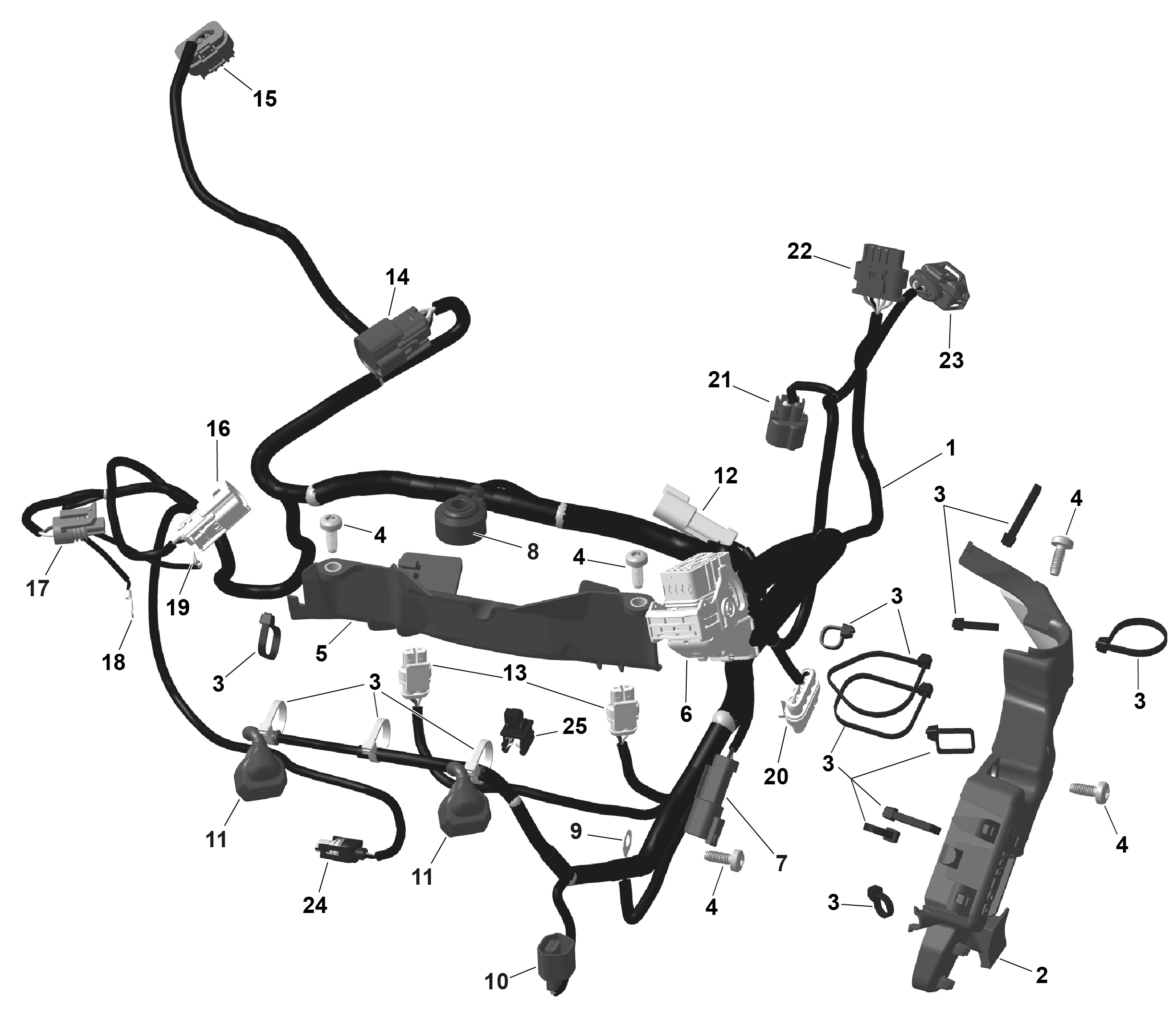 ROTAX - Engine Harness And Electronic Module