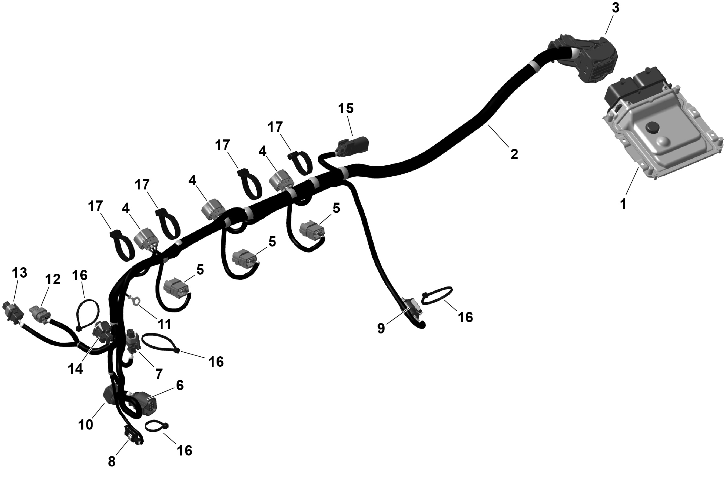 Схема узла: ROTAX - Engine Harness And Electronic Module