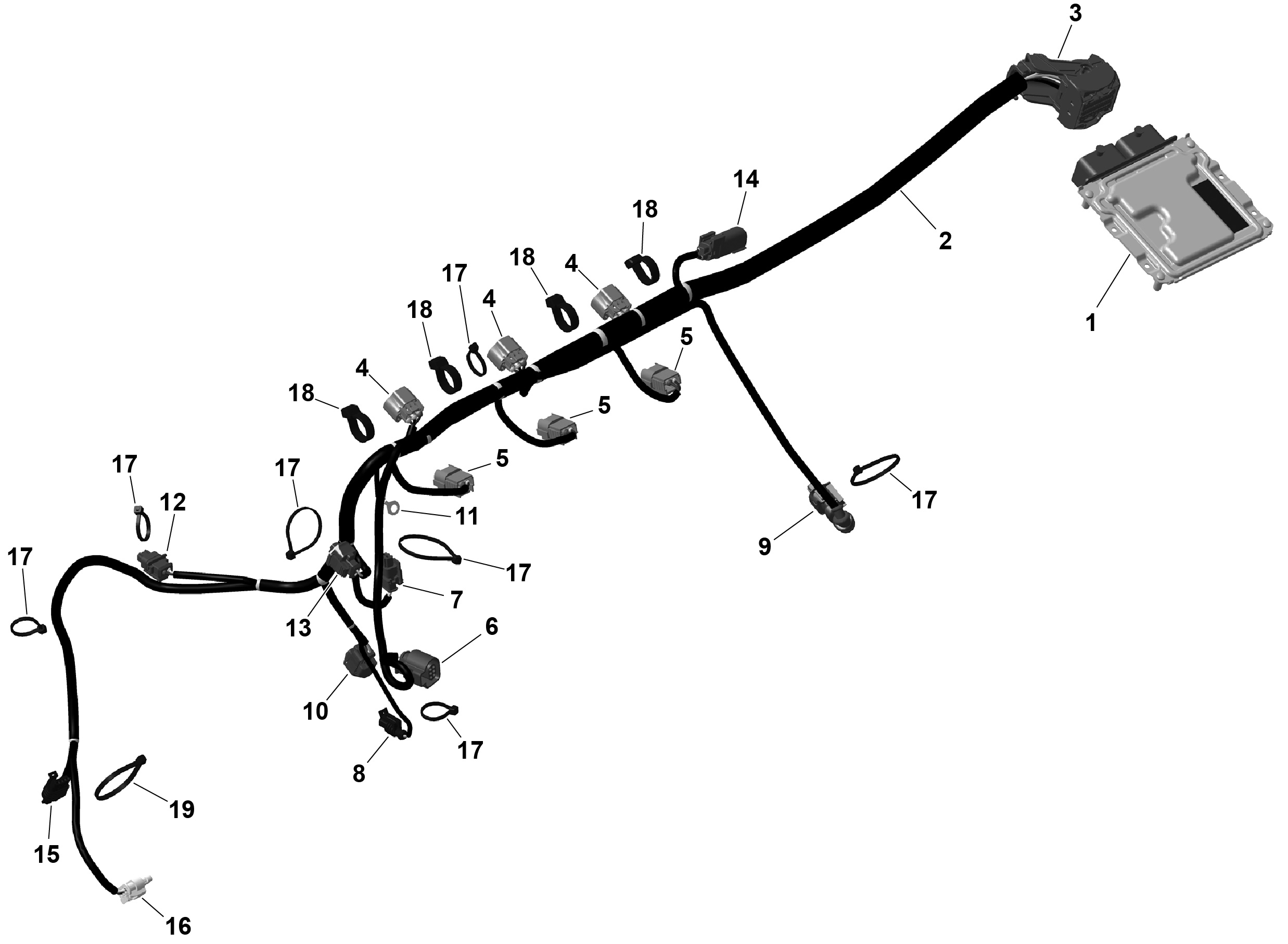 Схема узла: ROTAX - Engine Harness And Electronic Module