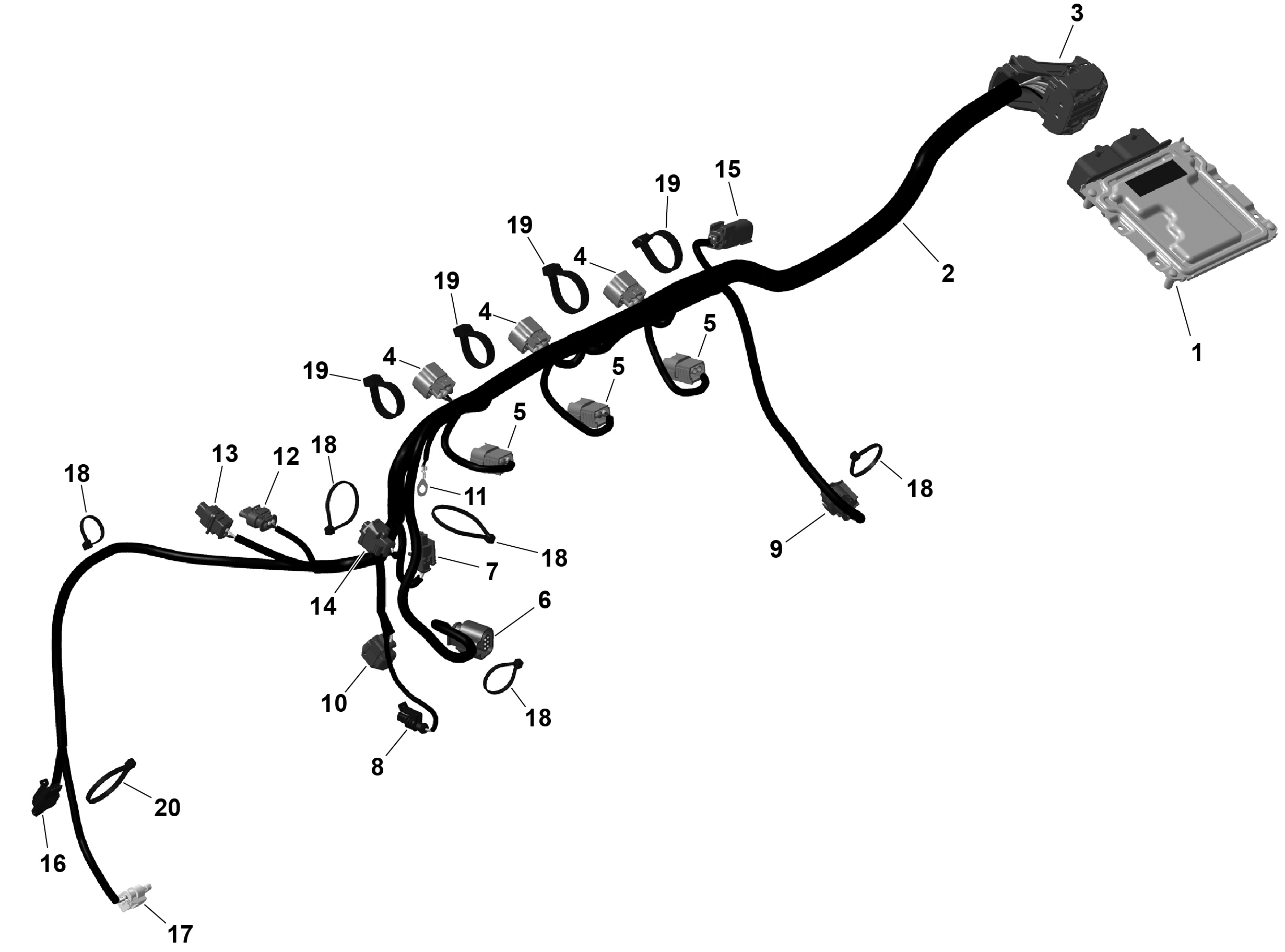 ROTAX - Engine Harness And Electronic Module
