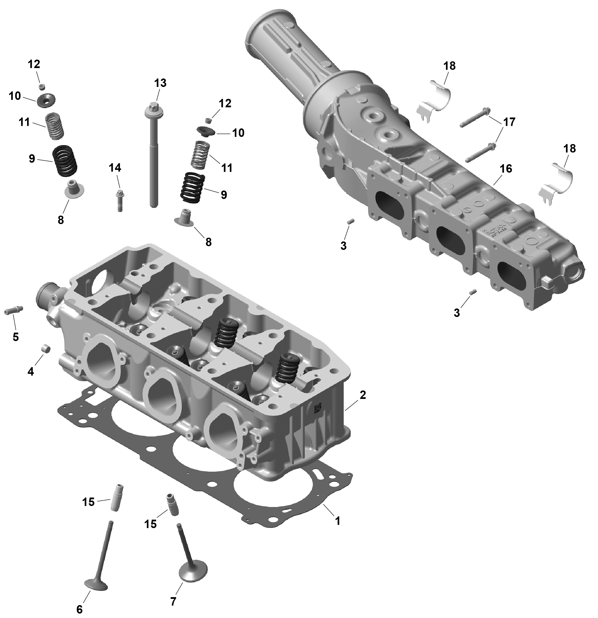 Схема узла: ROTAX - Cylinder Head