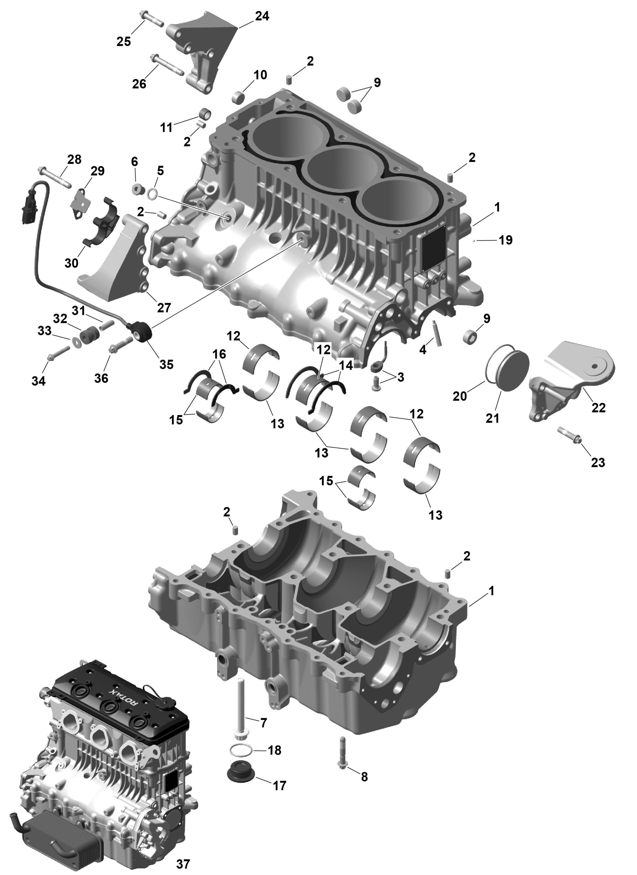 ROTAX - Crankcase