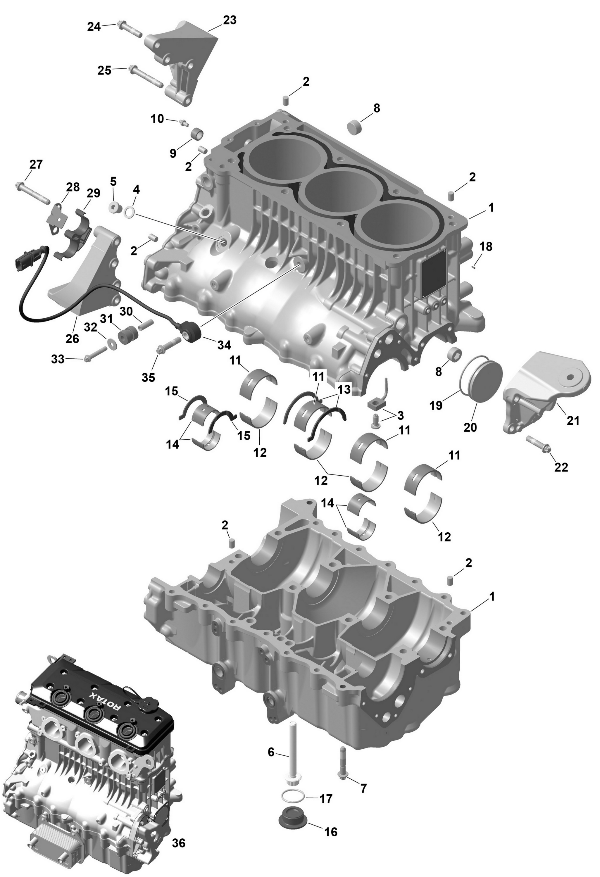 ROTAX - Crankcase